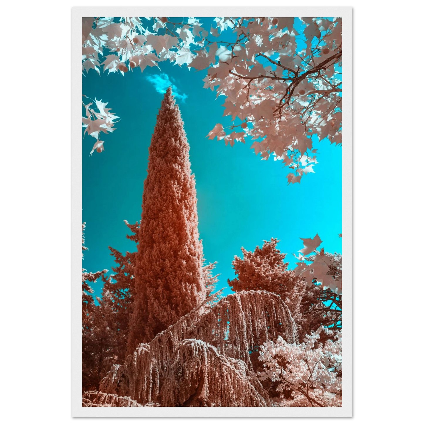 4c0fff60-dc2c-4690-8eee-807631a45343