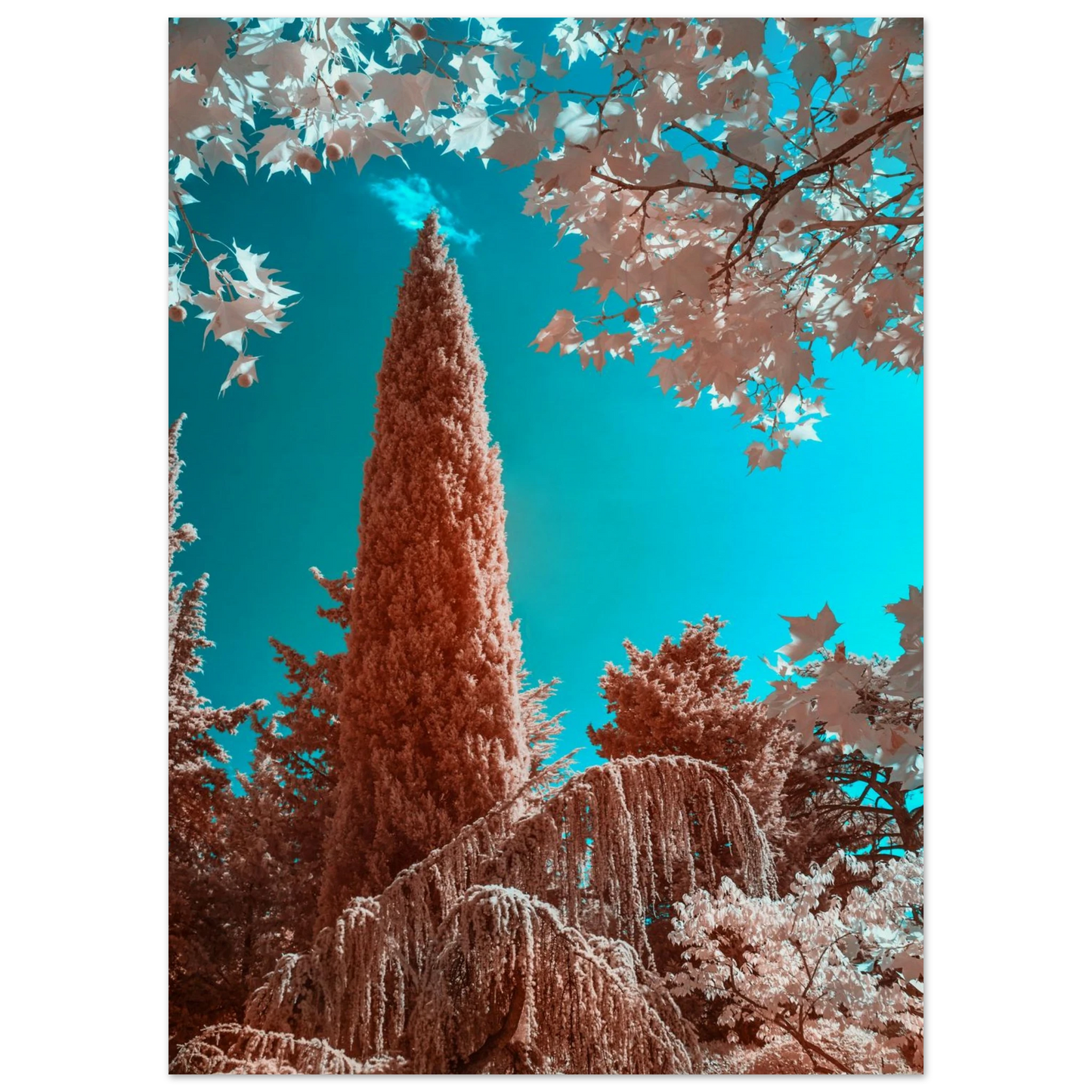 4e0fd826-e99d-41bd-835e-2b758d343d72