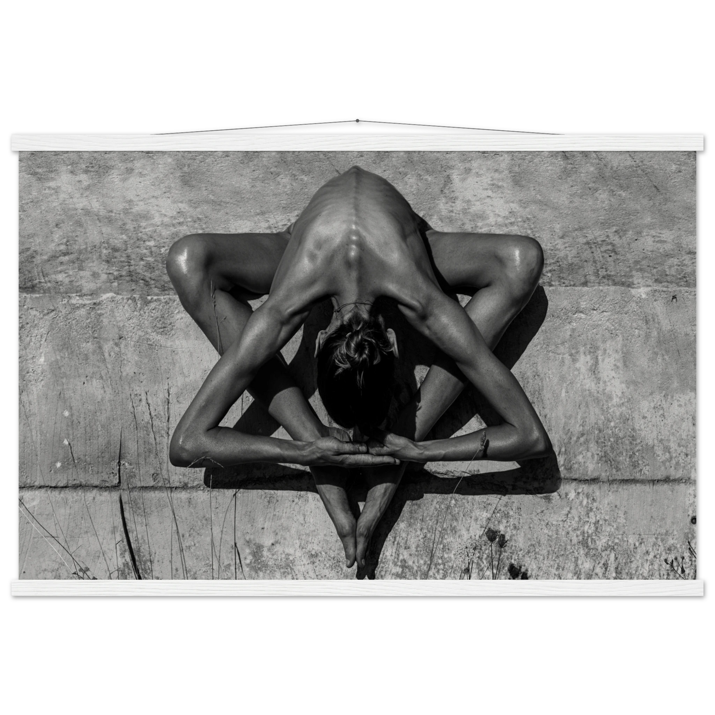 4e556832-8152-46a9-a994-ceb7582ea2b8