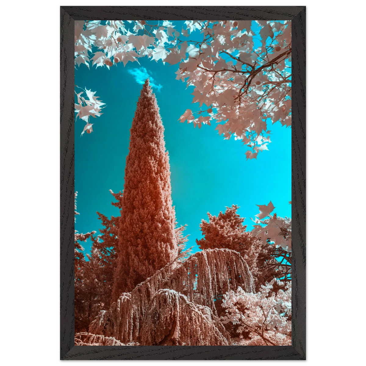 4fa26bd8-ce5c-456e-bc72-5c977993cff8