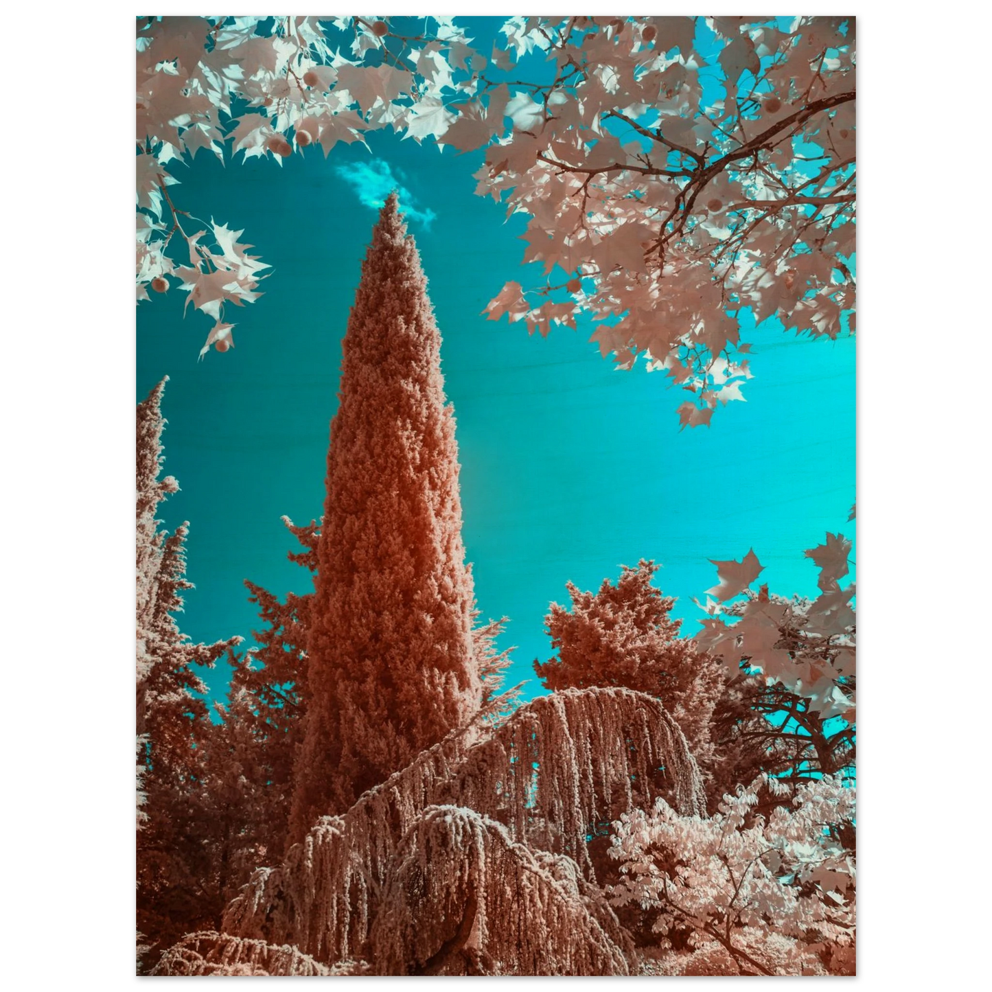 50035518-b273-46d4-986e-27404ee07d86