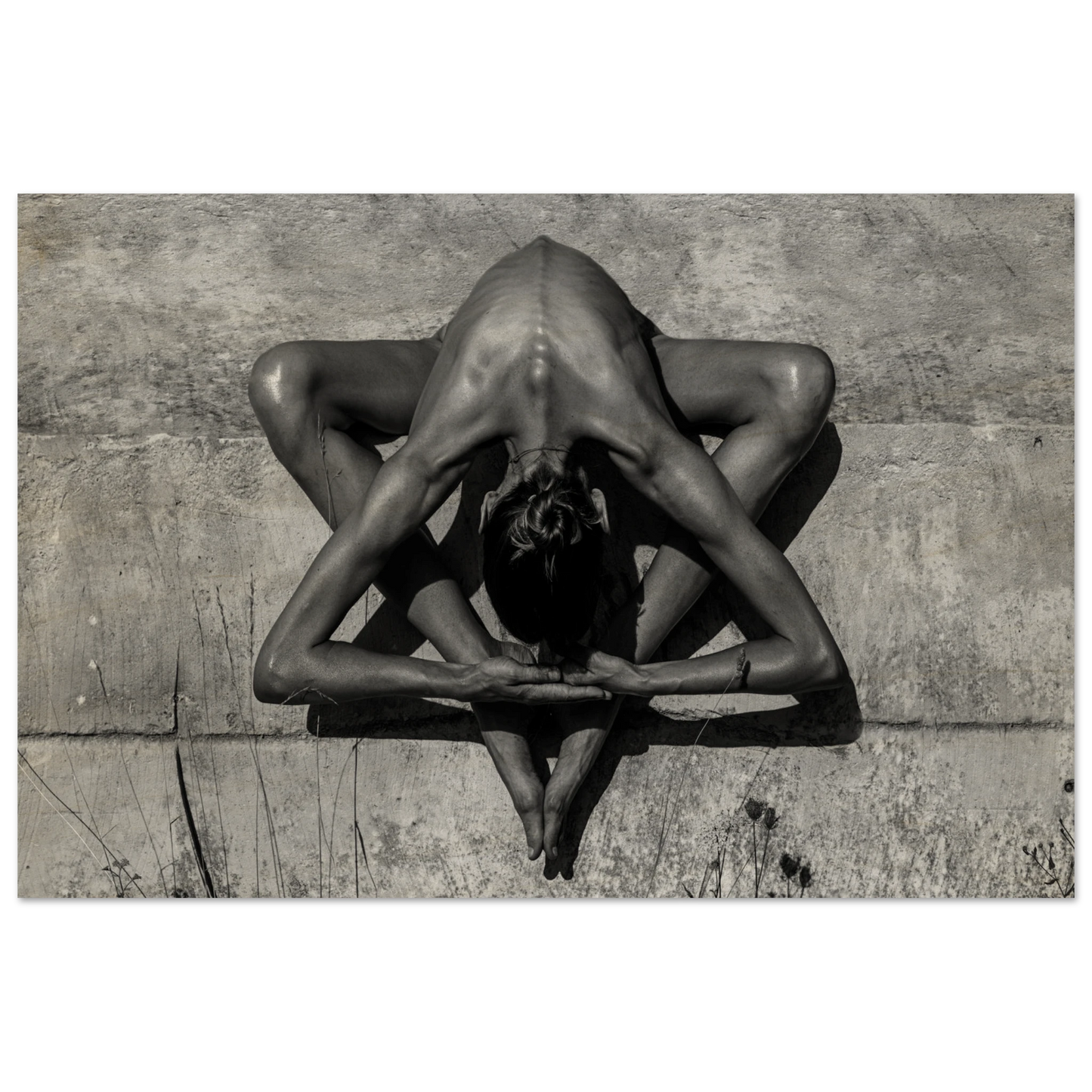 50f2e1d8-a23c-442a-b0ce-29d8f44984f9