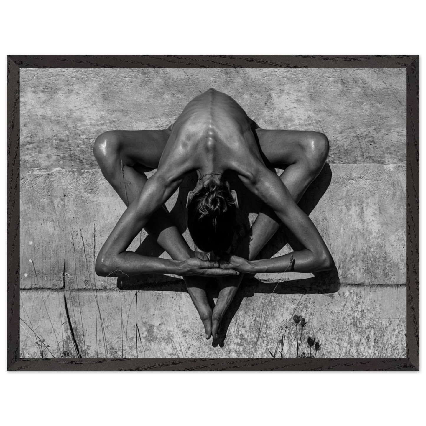 52d9ac2d-ef94-4b9f-be50-e85c6d438031