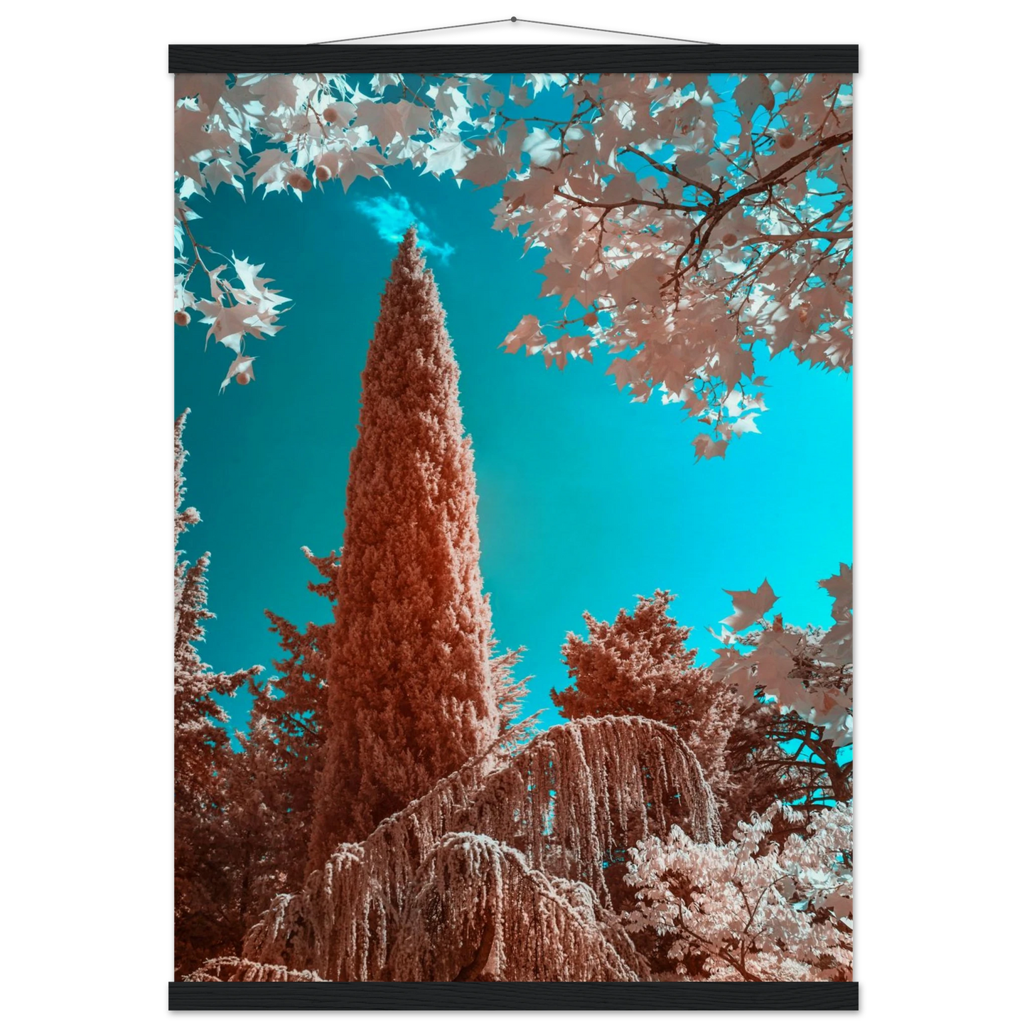 563fc498-9620-4d6f-8ca2-6e1776937d61