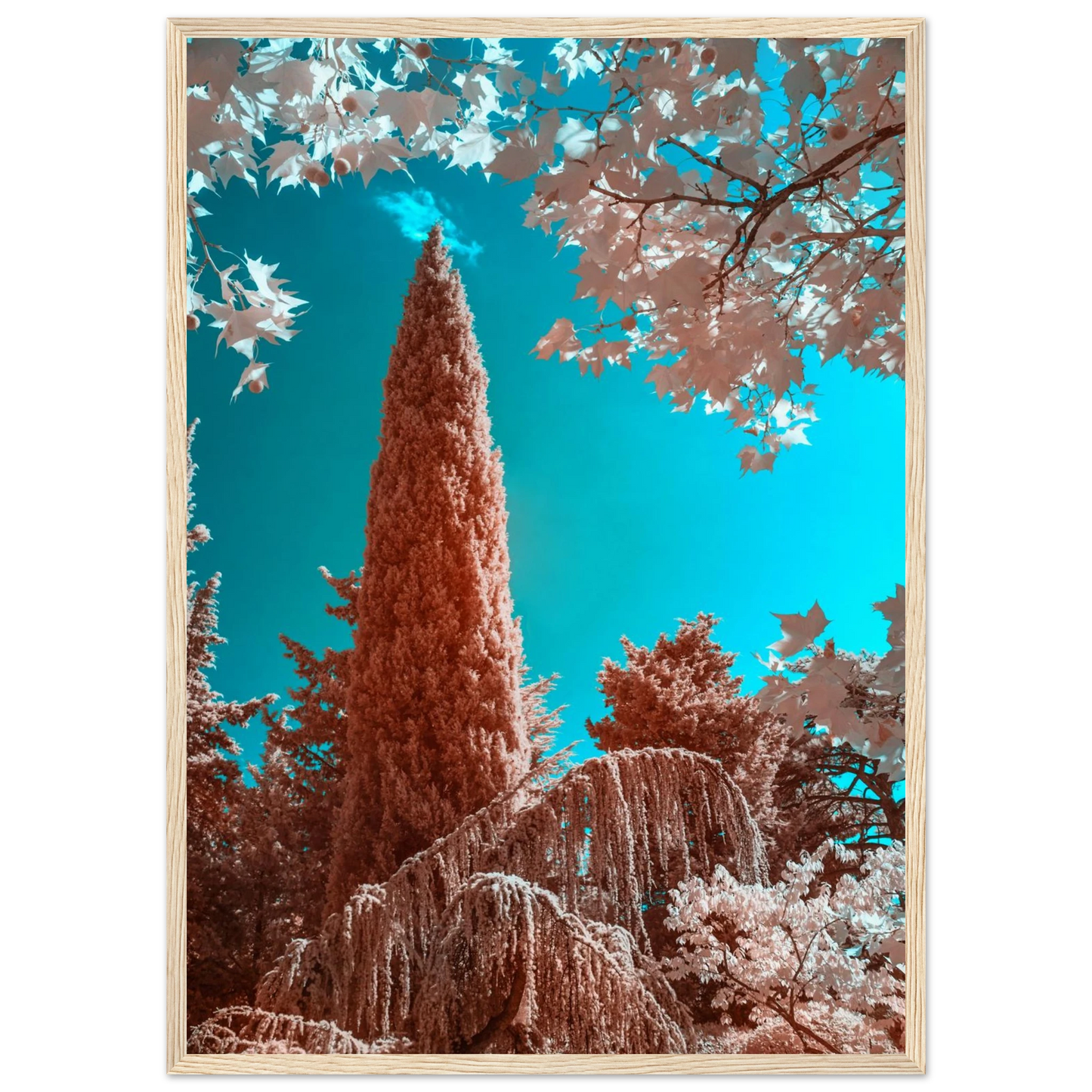 5670a6f1-eb0d-40f1-a020-62c7c1c7c619