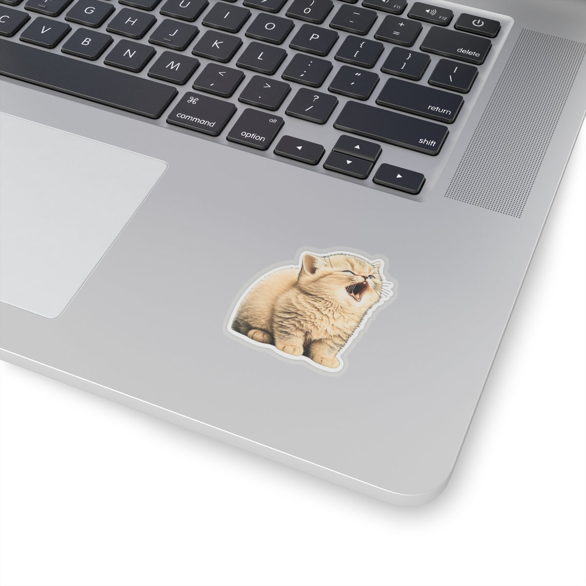 Kiss-Cut Sticker of cute funny golden chinchilla cat kitten  for your collection