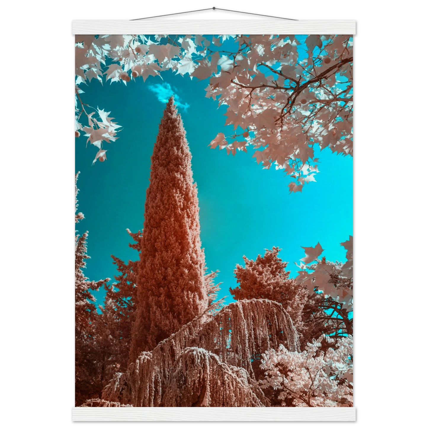 58166b66-5ef8-44ec-85d8-5c4c1dd0bf02