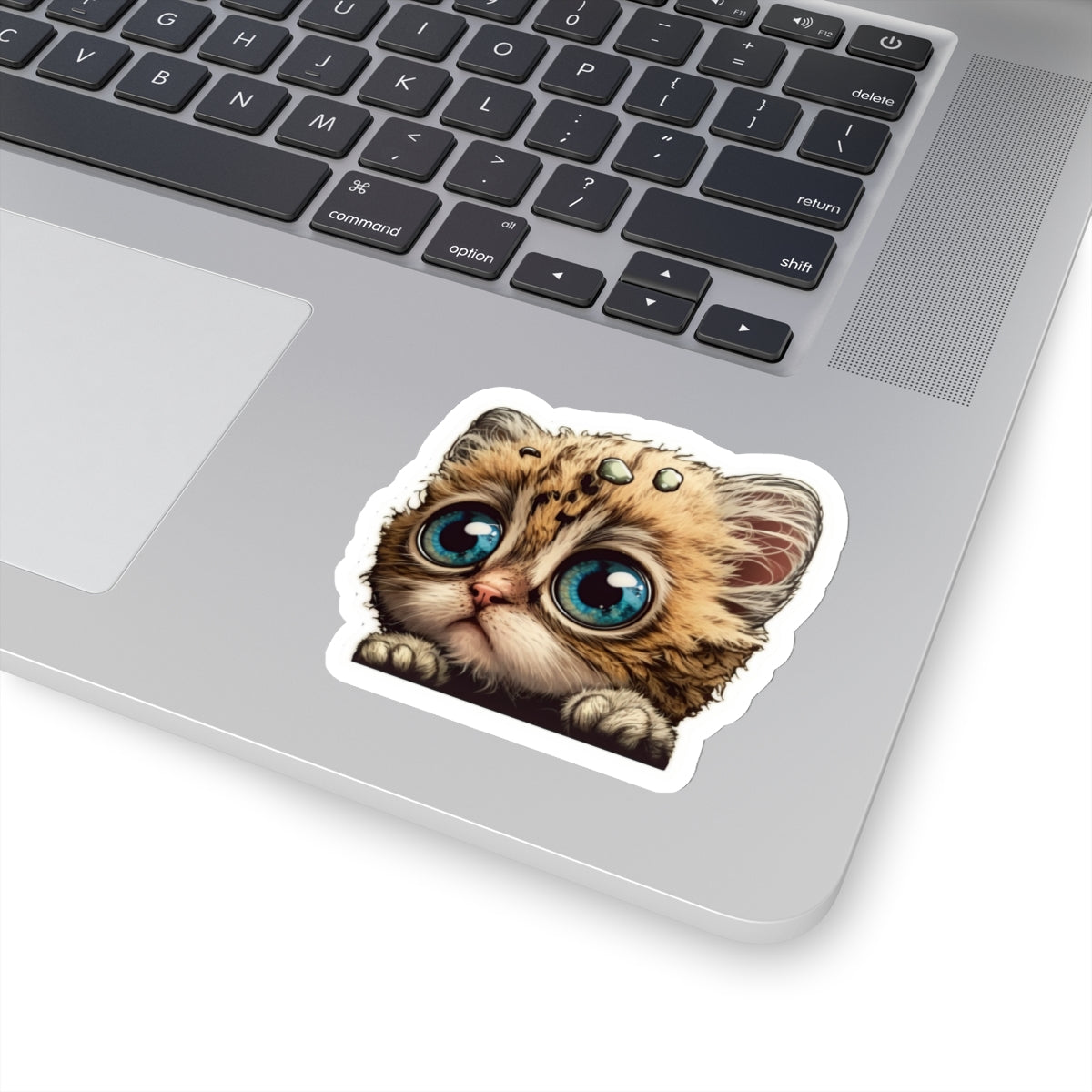 Kiss-Cut Sticker of cute funny cat kitten  for your collection