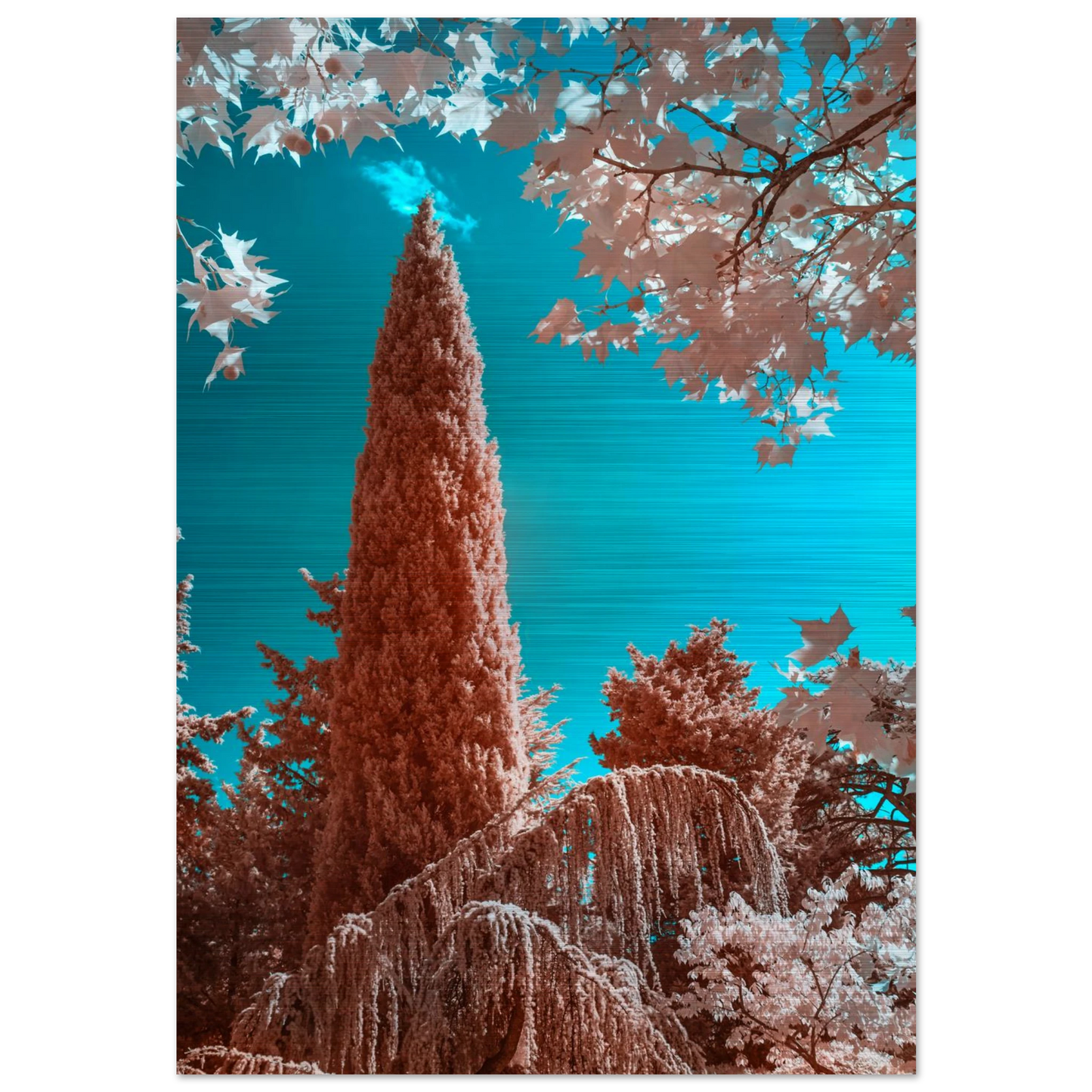 59900a87-1ad5-4e75-b806-4e09dcc8e699