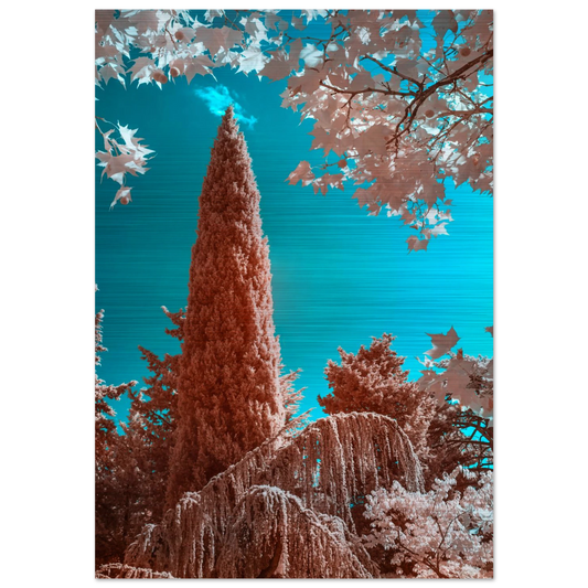 59900a87-1ad5-4e75-b806-4e09dcc8e699