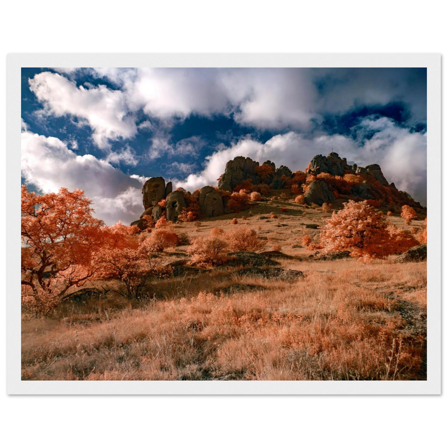 5ab1d430-f637-4545-92c5-0242ad684041