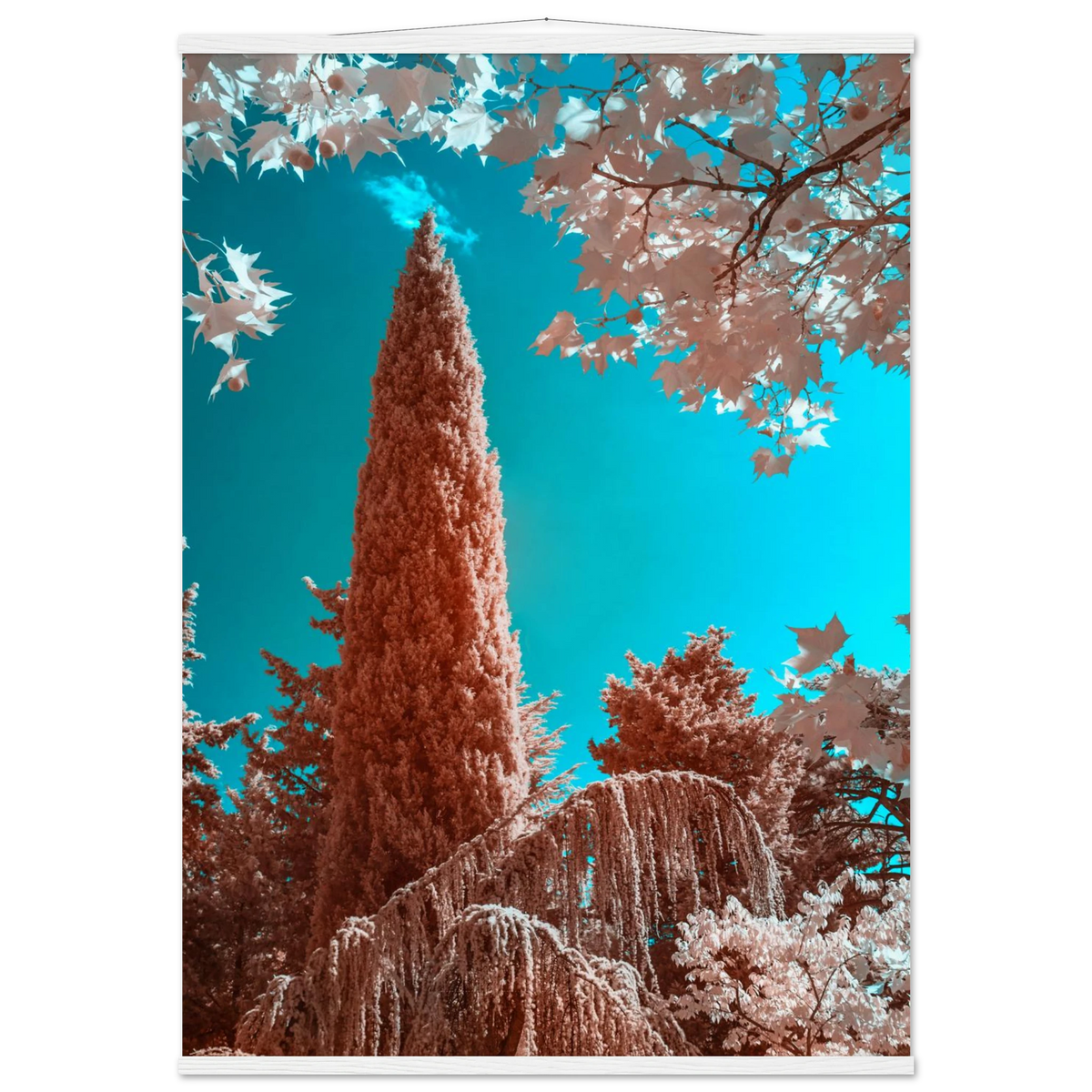 5af43c35-efae-4f64-a7a5-36c1a01ae488