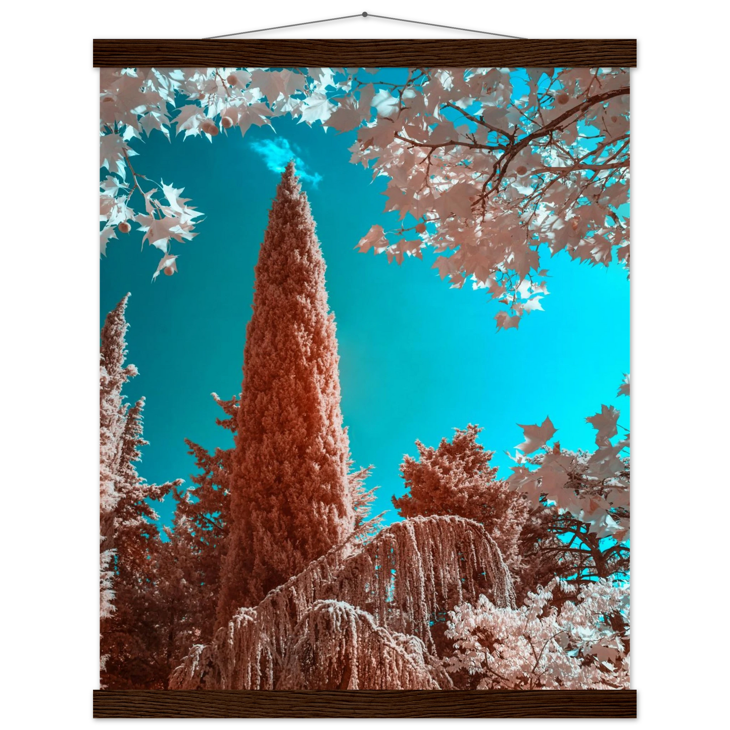 5b9b6dbd-4095-46c7-9bea-4d0b9fab66f9