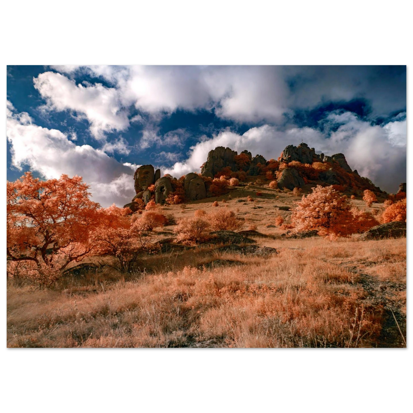 5c5465d2-641c-4cf4-8f21-4c046f140967