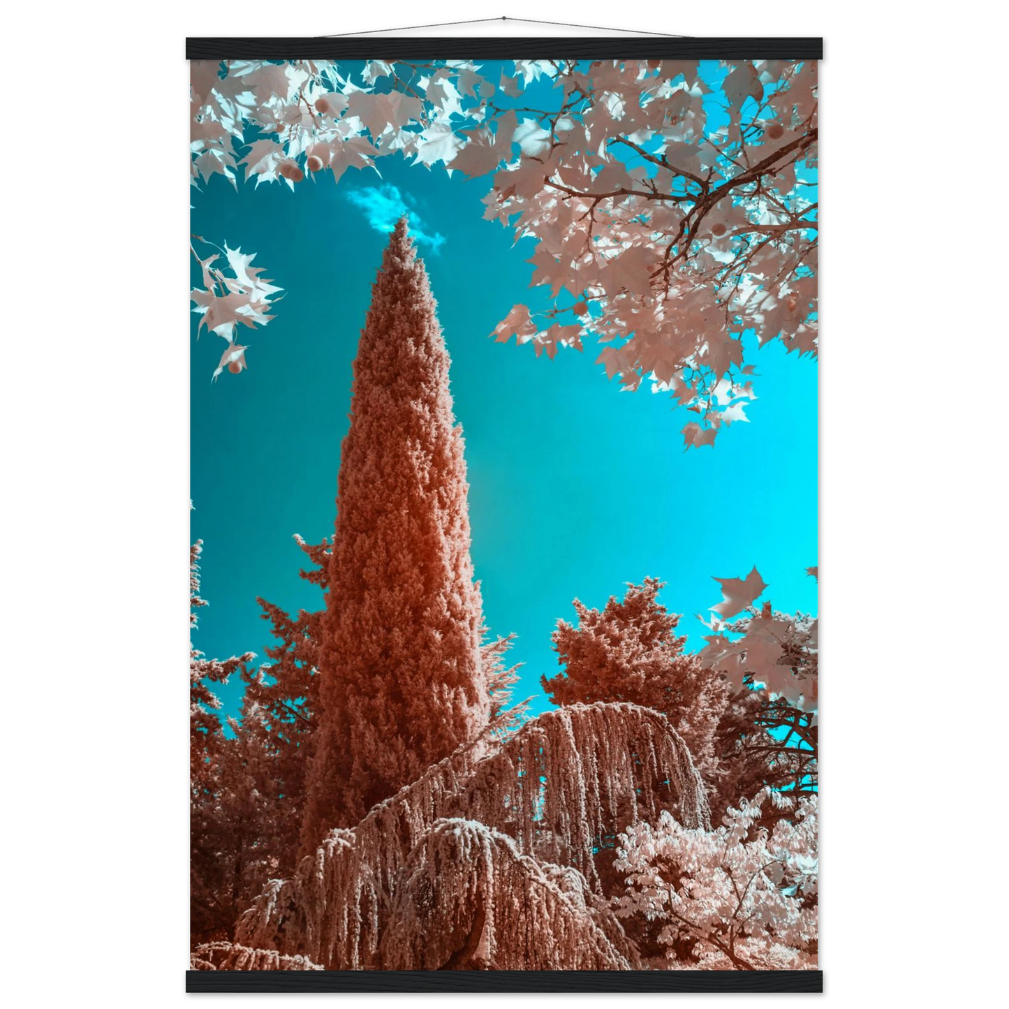5d2d8eee-1ac8-4323-993a-aad46e1d20f7
