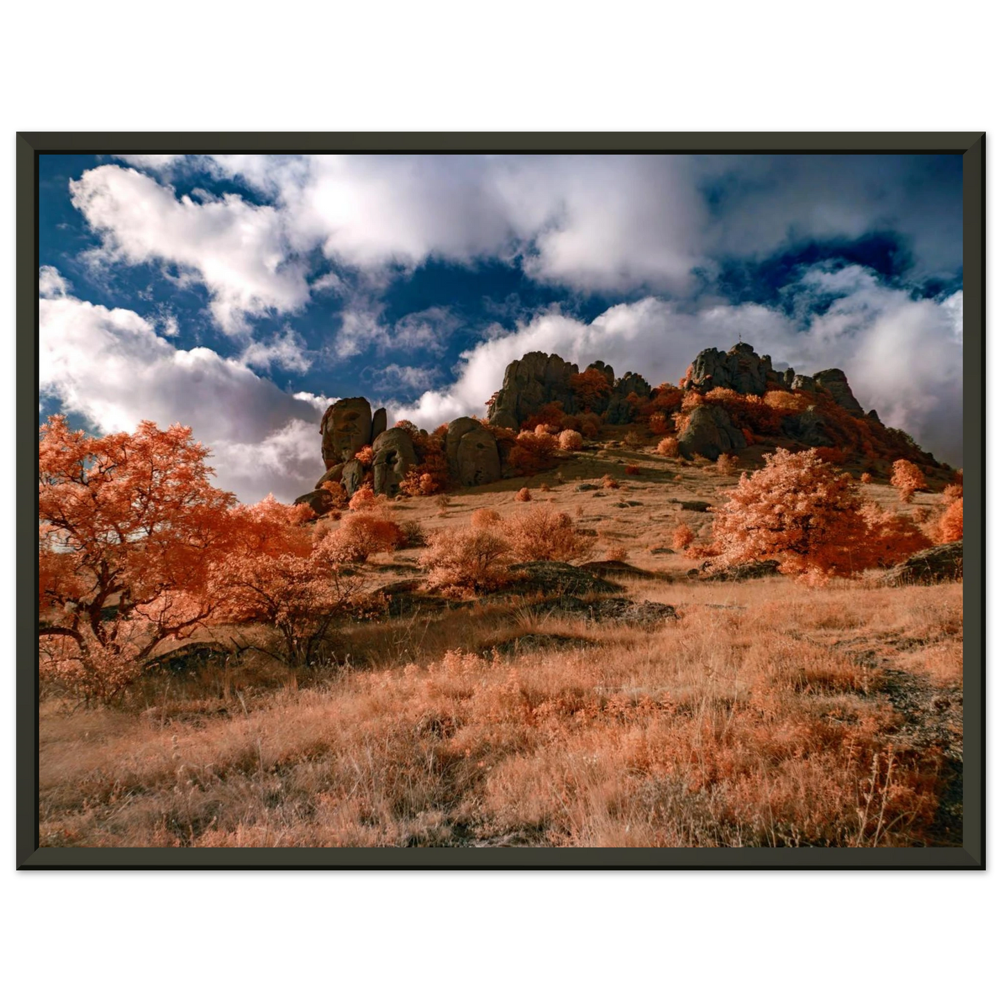 5d34e194-428a-470d-84ec-d7cdbe439d1e