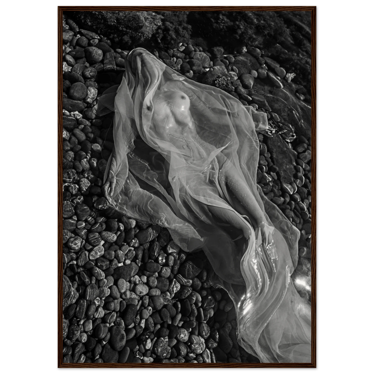 5e0579df-2b61-4446-ab37-e75f362f4e7b