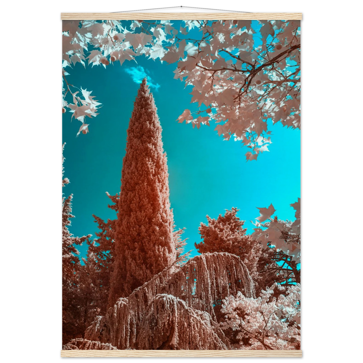 5e55d2f5-1cb3-4acc-ab47-14461c976e4f