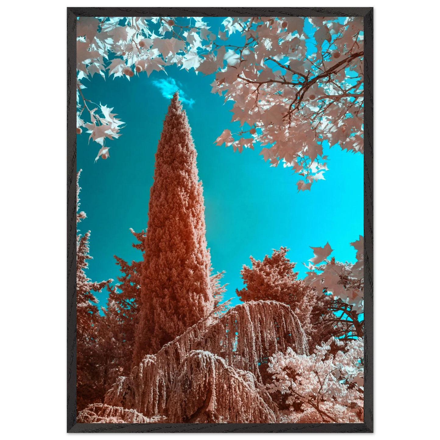 5fa968f0-c6b2-4d83-bb17-76c45d2448f9