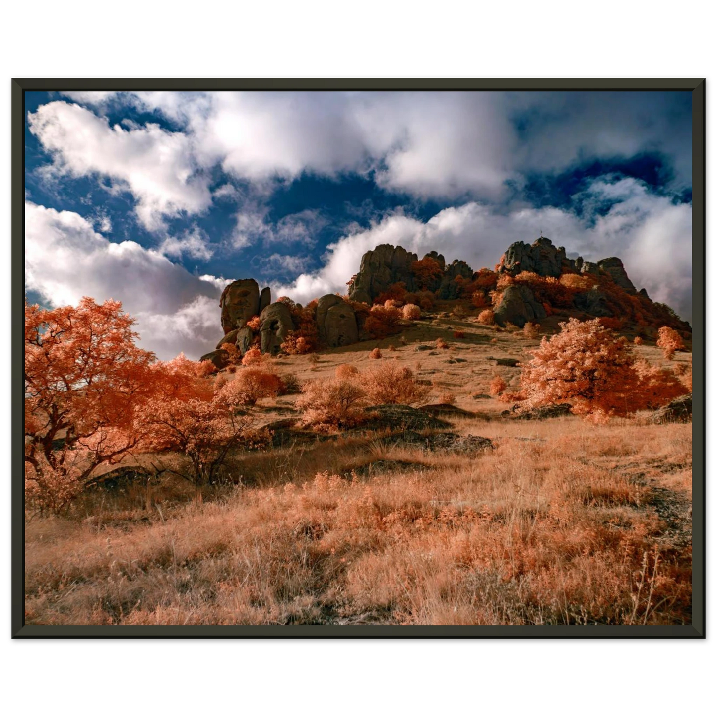 6093cc33-8bae-4460-8aa6-d3400f7ef812