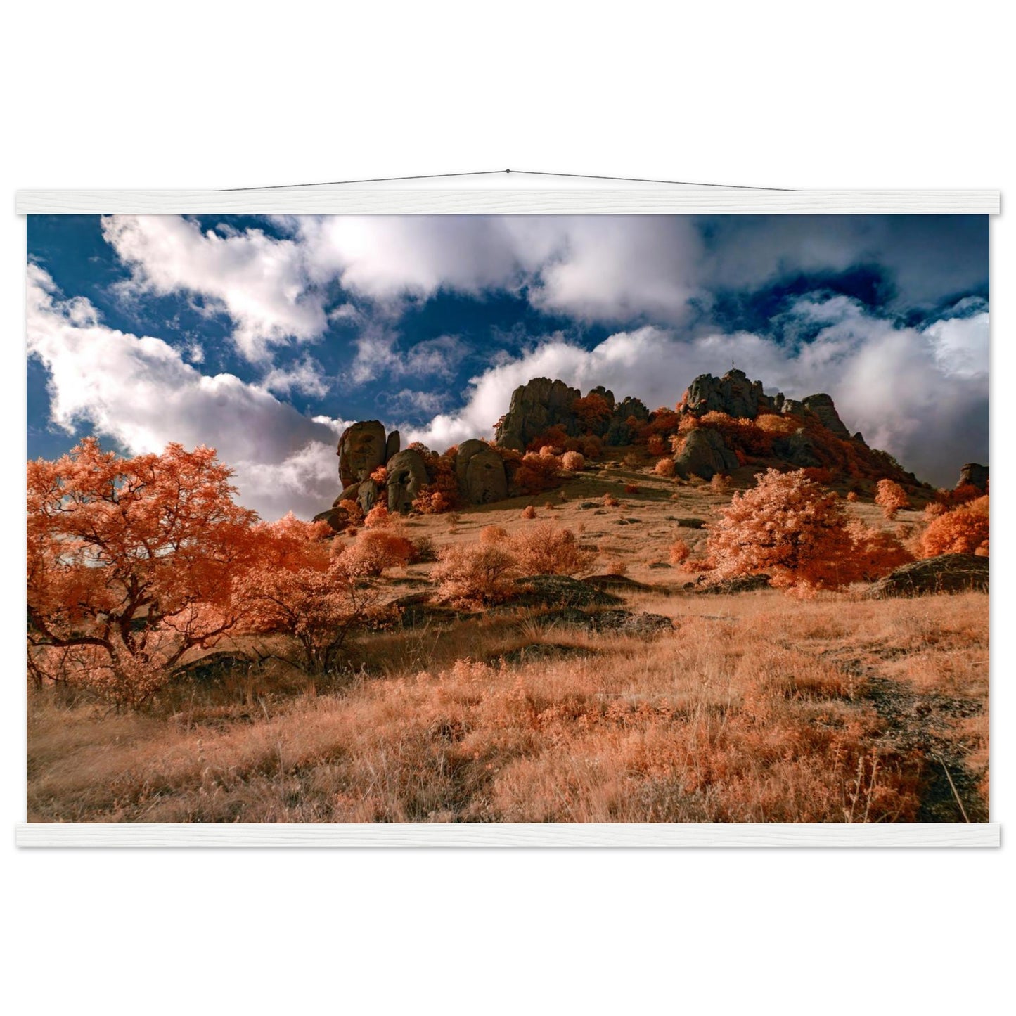 61e3c929-800c-42f4-8f08-5b2e7ea20760