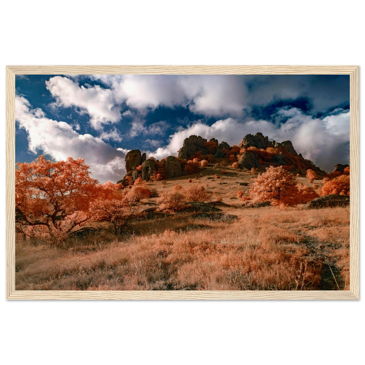 62a2c55c-8347-479c-8fa2-54704210549b