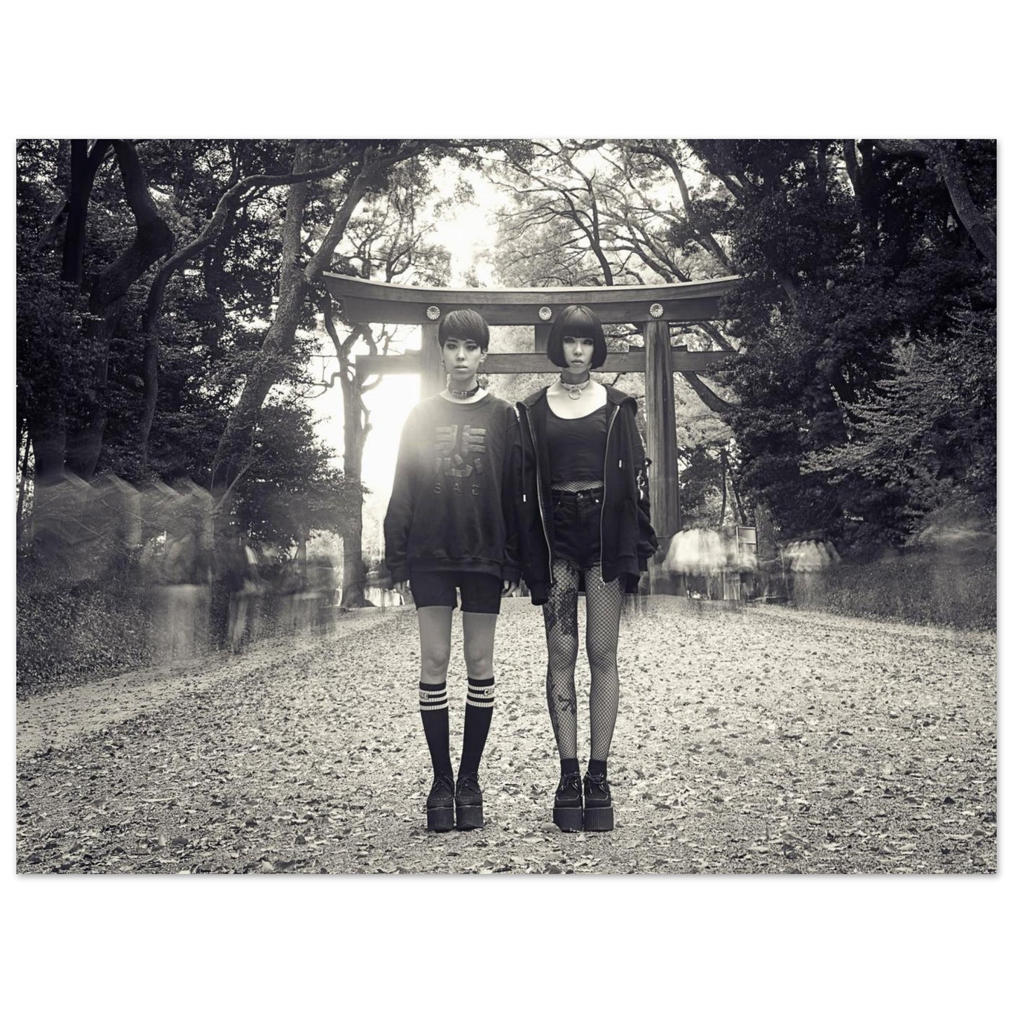 62dd3b72-5567-49f0-b534-71878ea3073f