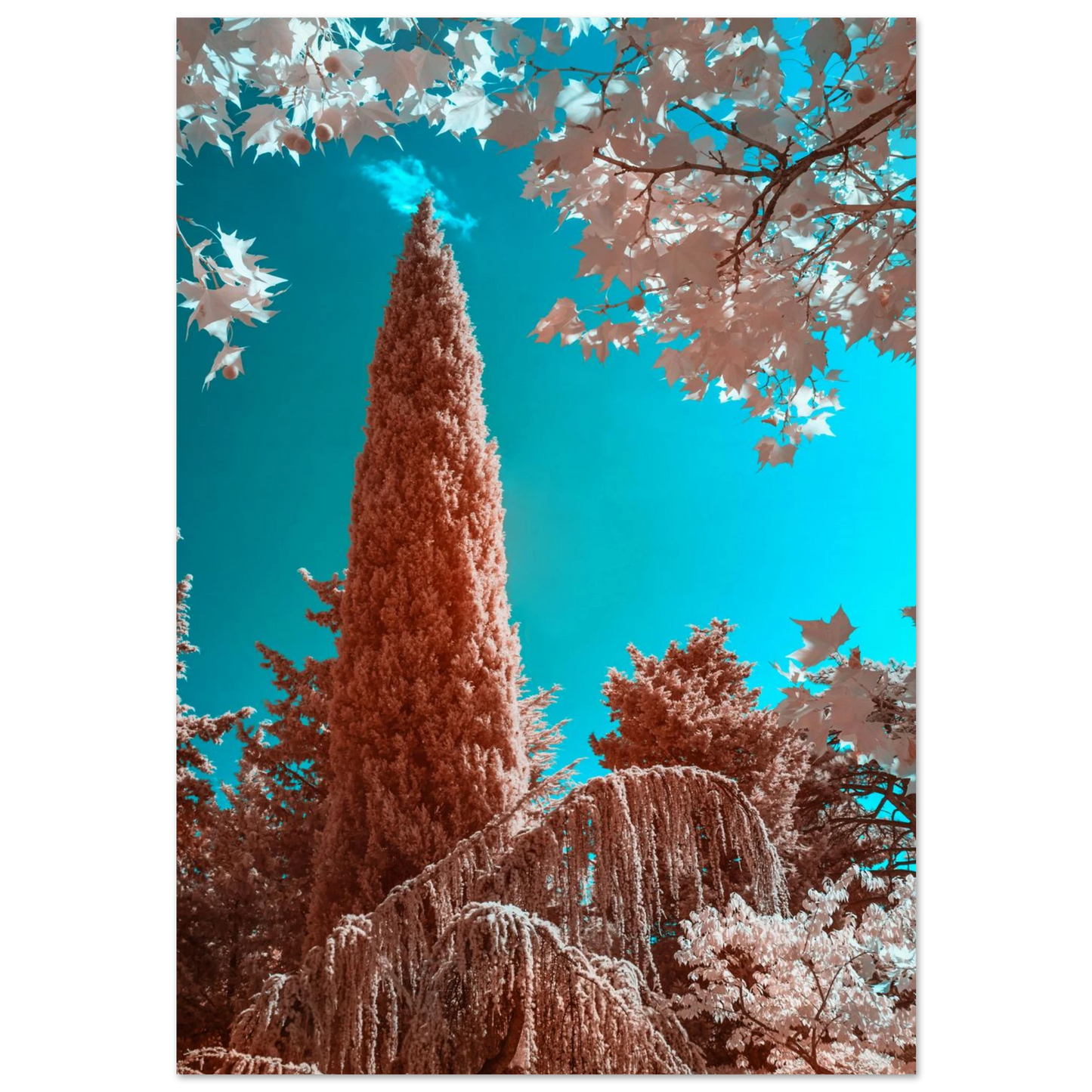 62f98ed4-c9e4-4800-b1d9-ce5e2d2f75c6