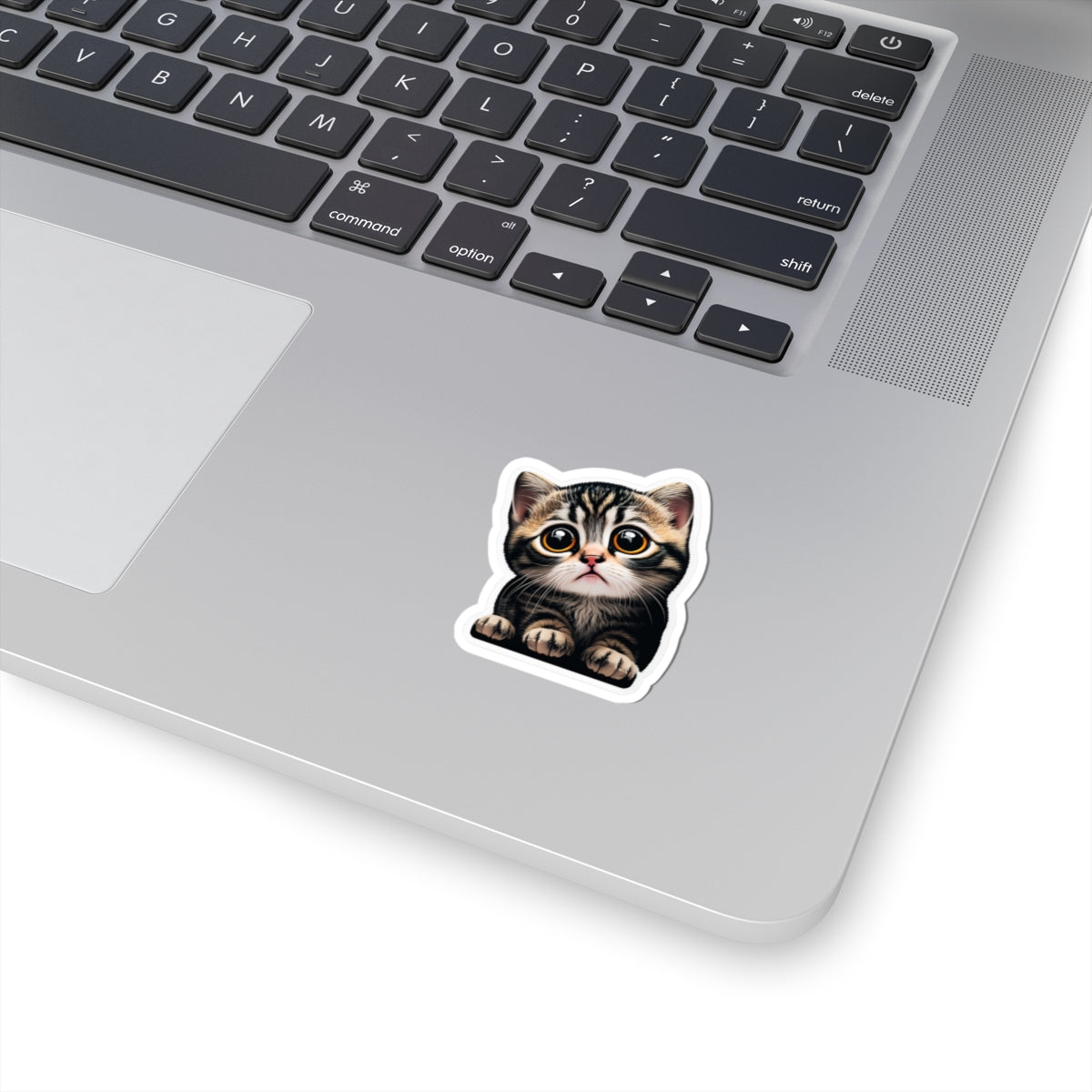 Kiss-Cut Sticker of cute funny cat kitten  for your collection