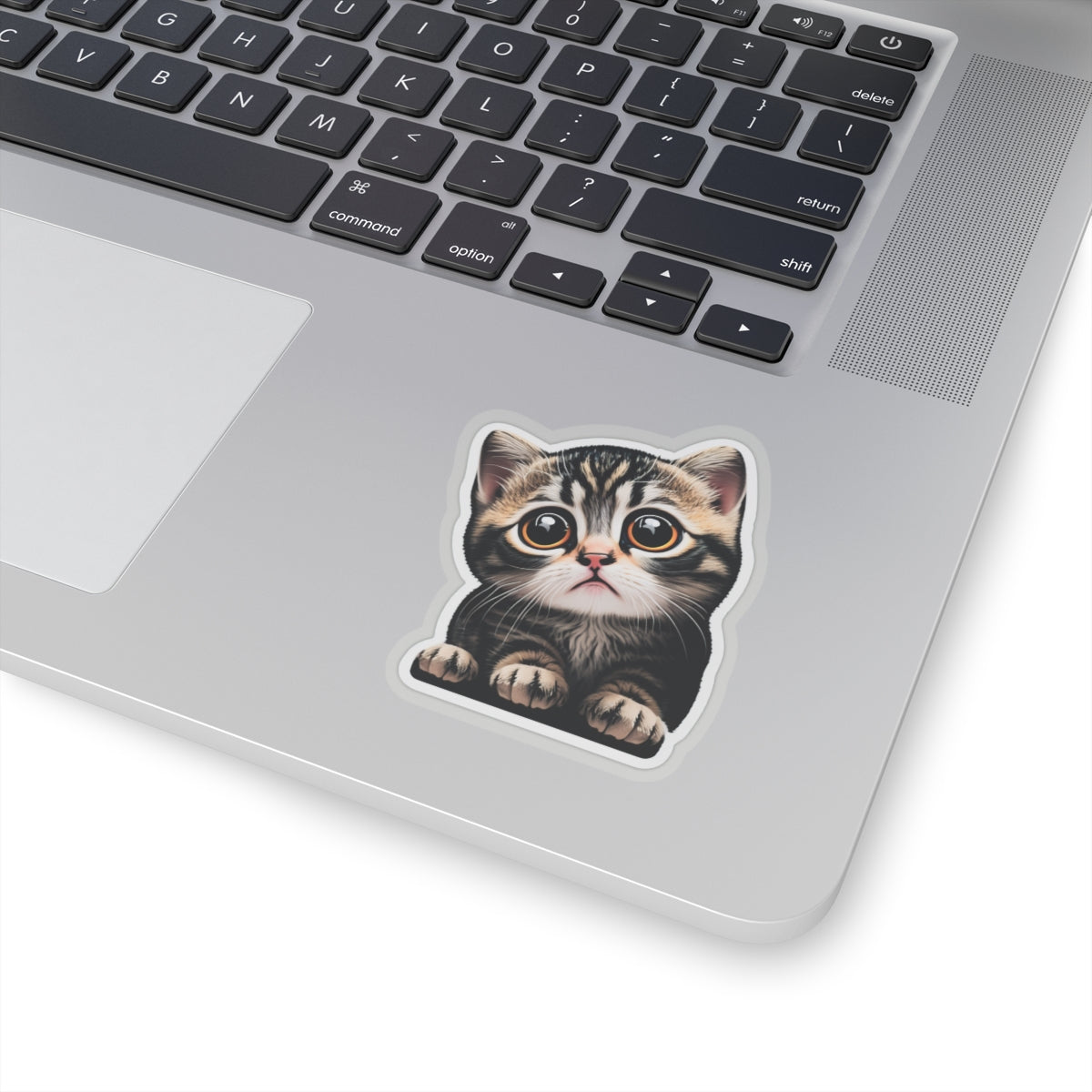 Kiss-Cut Sticker of cute funny cat kitten  for your collection