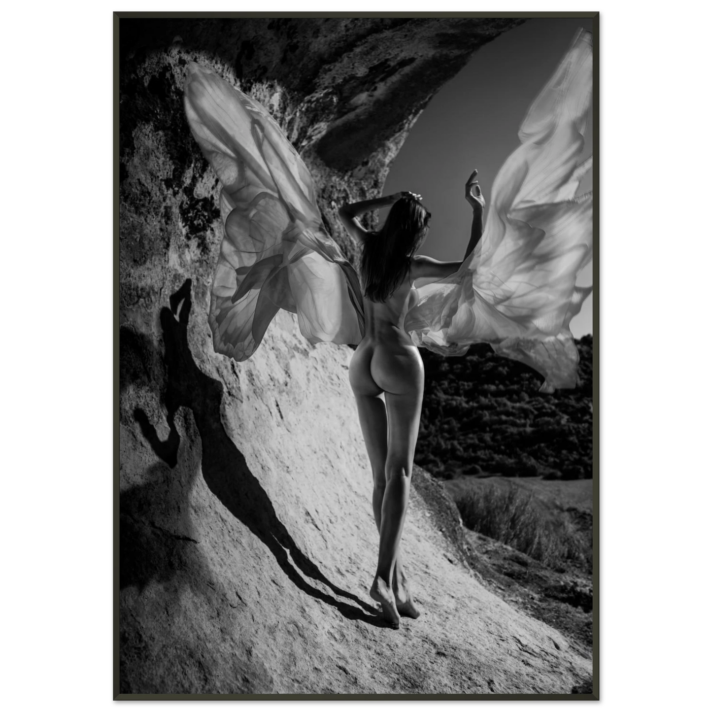 65c41b79-a1dc-463e-98e7-3b0f469293dd