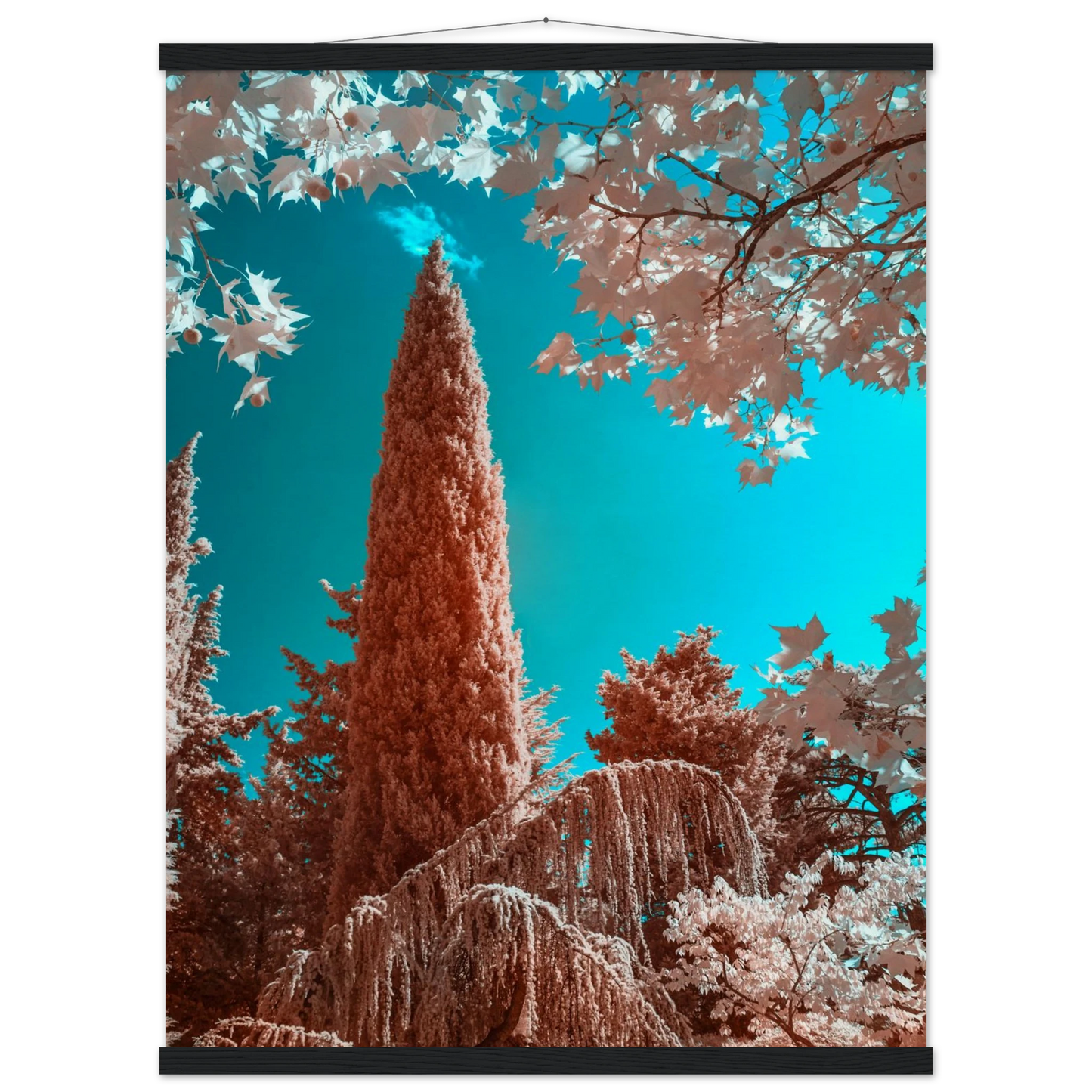 65f6a89b-ce9a-49d6-afcc-11e06593a4f5