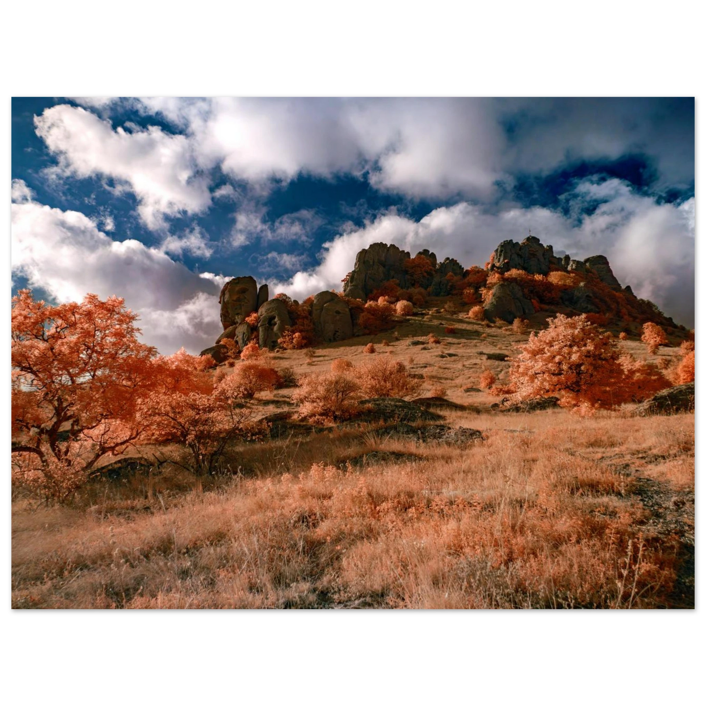 664b7f14-f51d-4c32-9250-140b6b2ce5cb