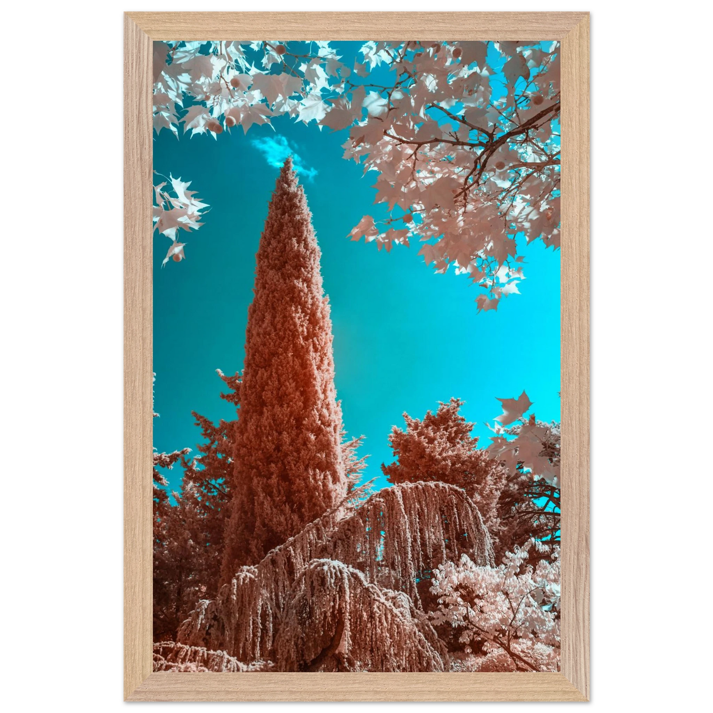 66947123-af9a-43e7-942e-46cc2a387ceb