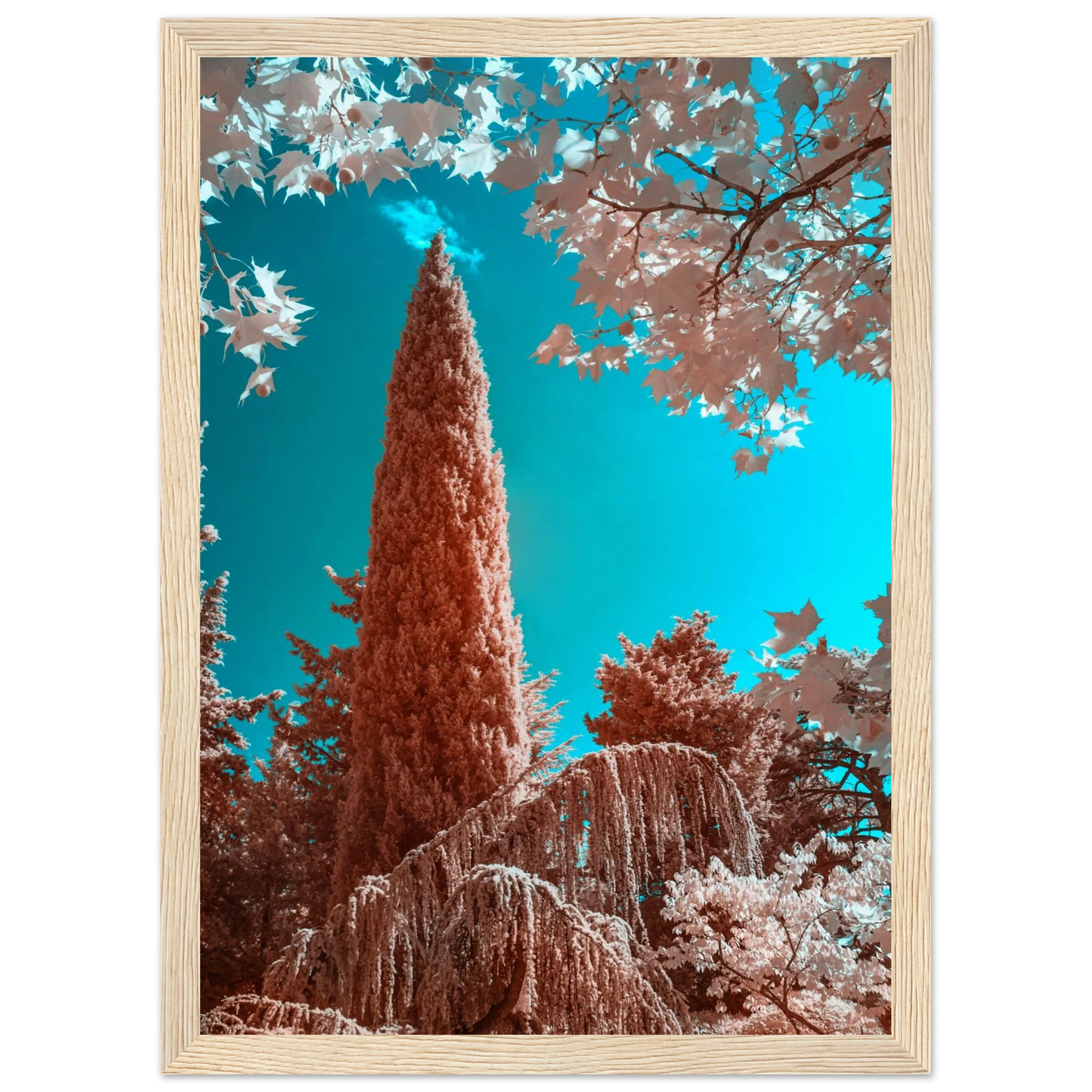 676db0ed-5e8a-4e74-b3f2-fd805bc65f18