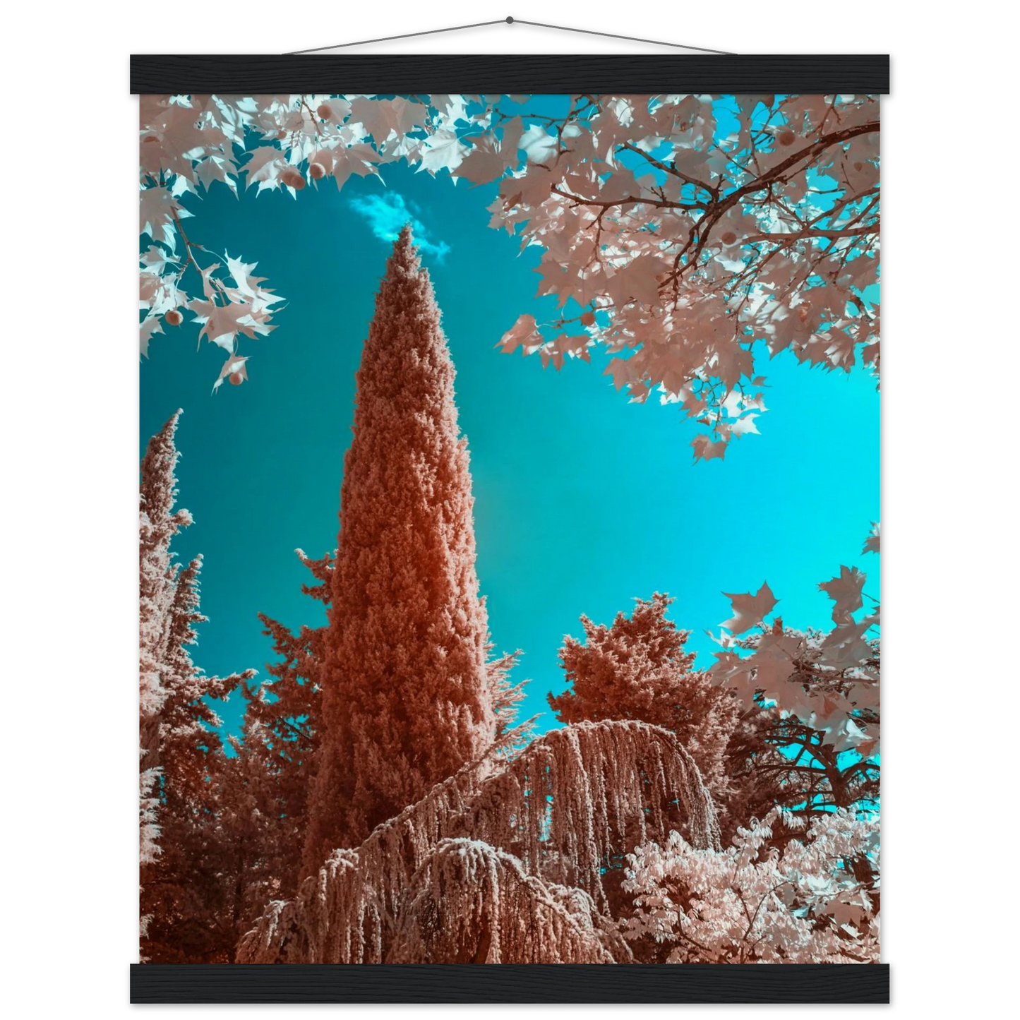 68efa4a1-ebf3-41e5-8d17-5831ce964385