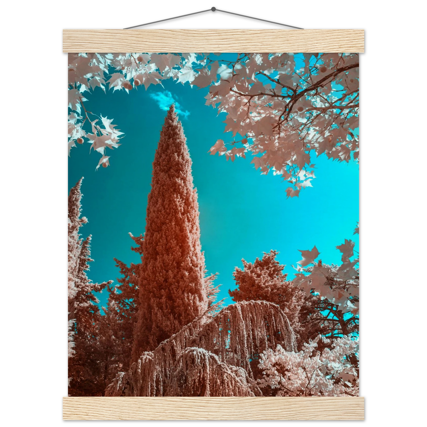 69edbbf4-7ec5-46e1-a2ef-d492dae1c8e0