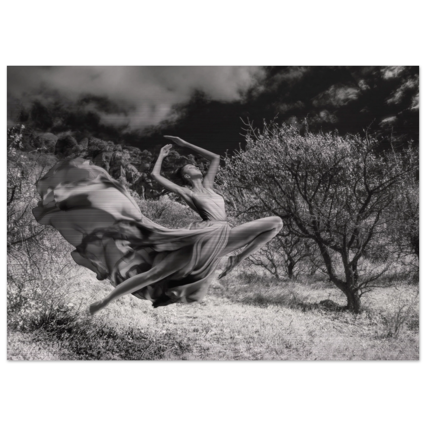 6bfe002b-e14d-4758-bfc9-6180abc5c037