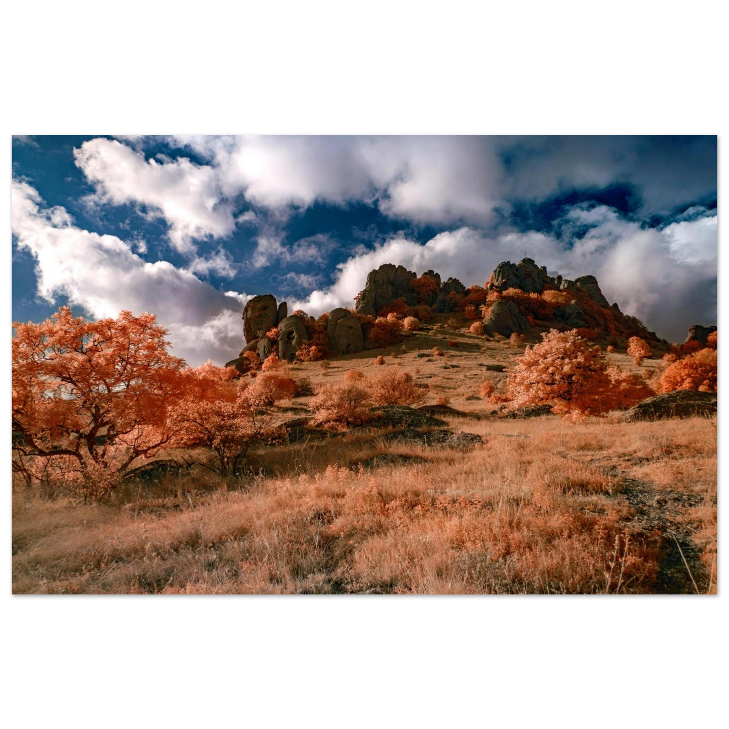 6cccb1b8-d22f-4b79-94bc-e9eb896ef72b