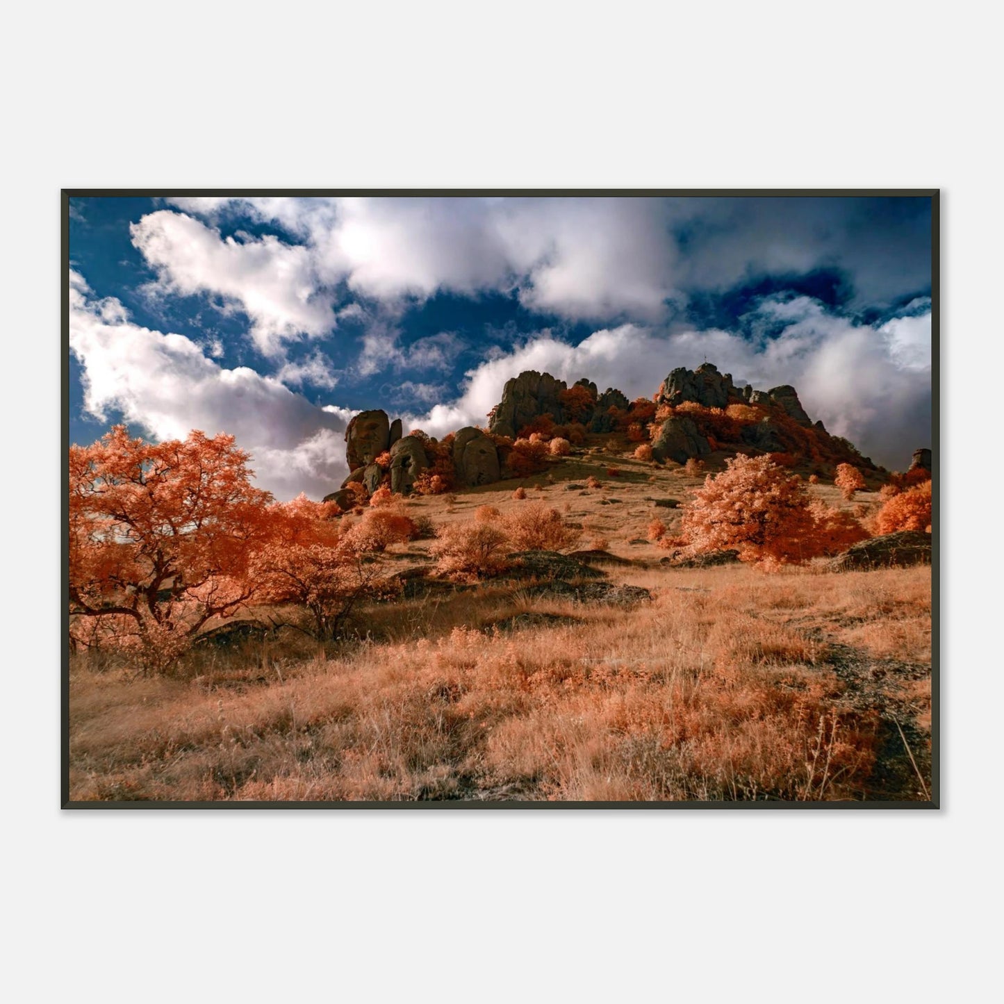 6ee1342a-eb44-44b4-83c3-5103ecc490ee