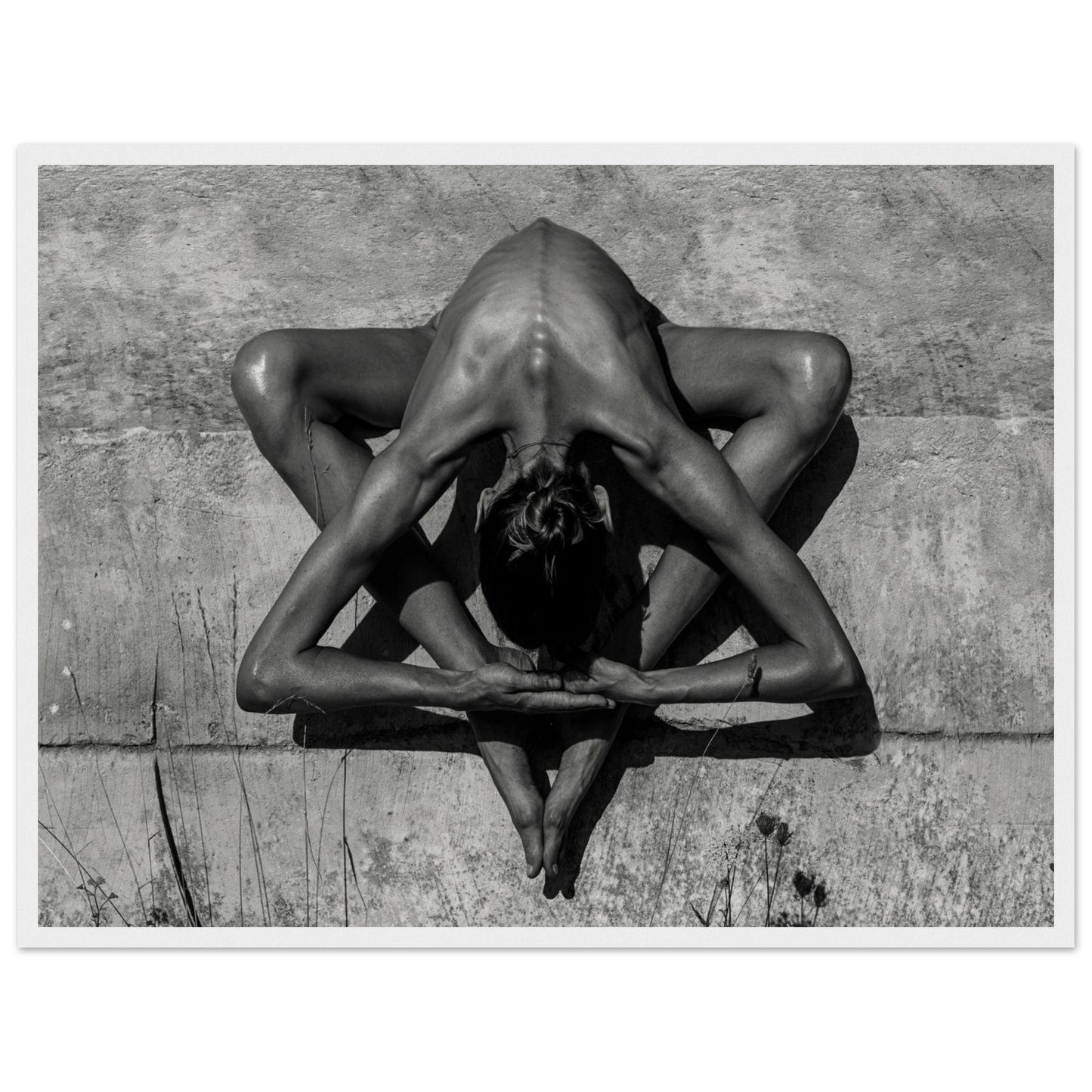 6f0919d9-17db-4bda-b63f-8f9c0a1c5354