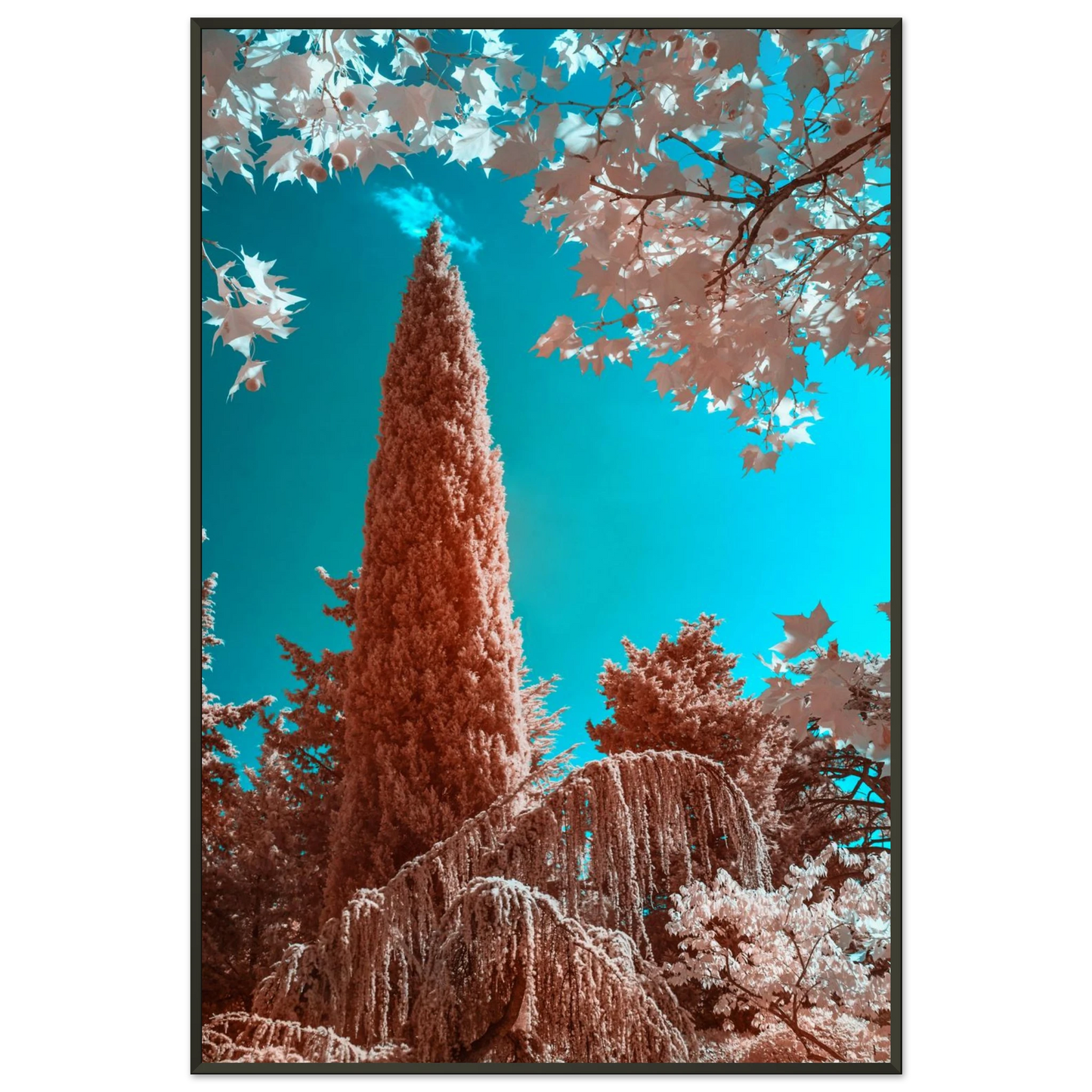 6f229168-0a3a-4c30-a012-3e093d47bf04