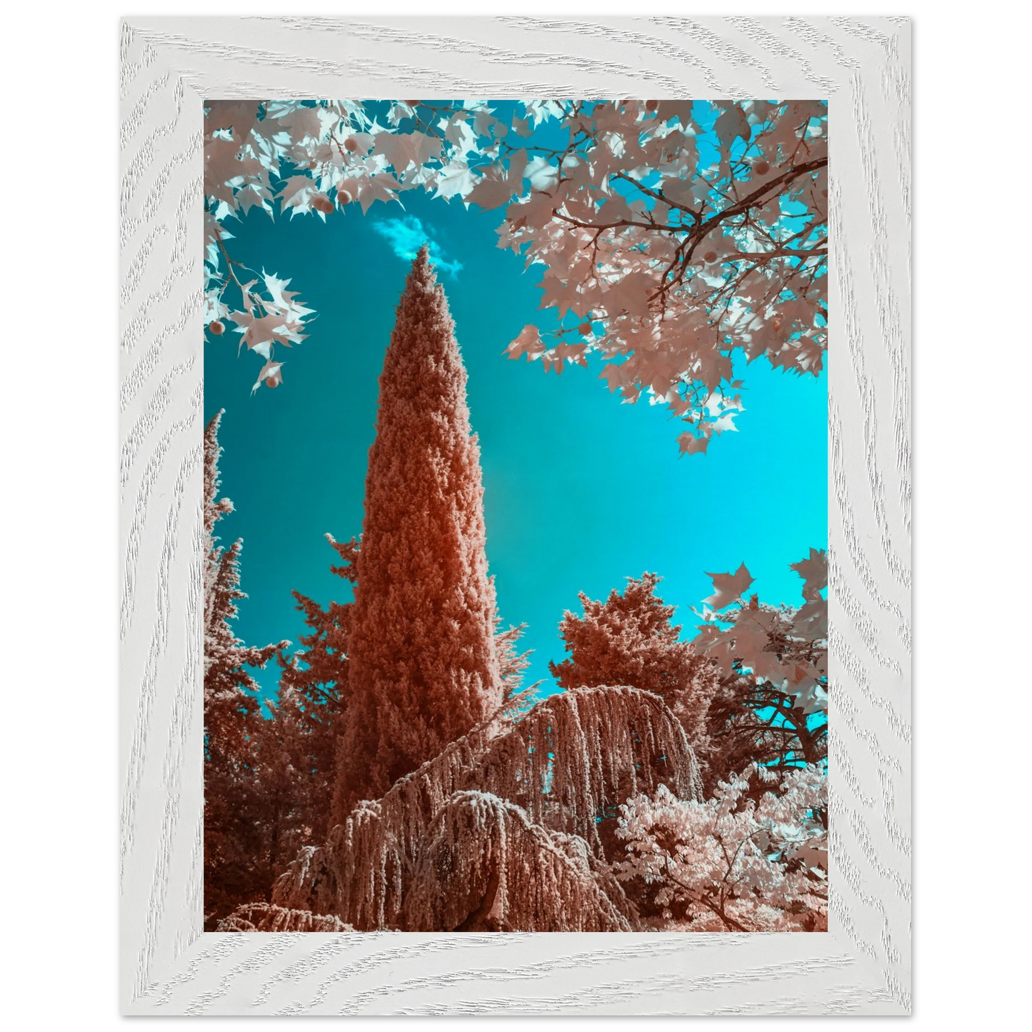 6f8a6b21-21c0-45b5-a04f-d4282ebf249c