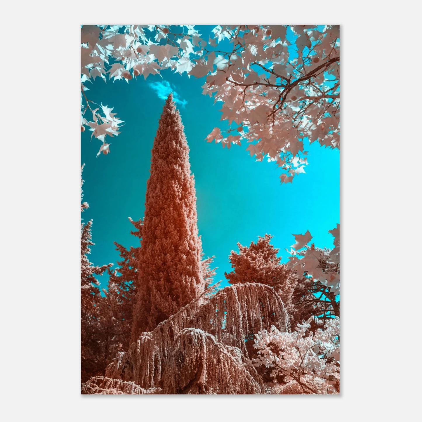 6f8af7db-8844-4793-8495-4477c232ed80