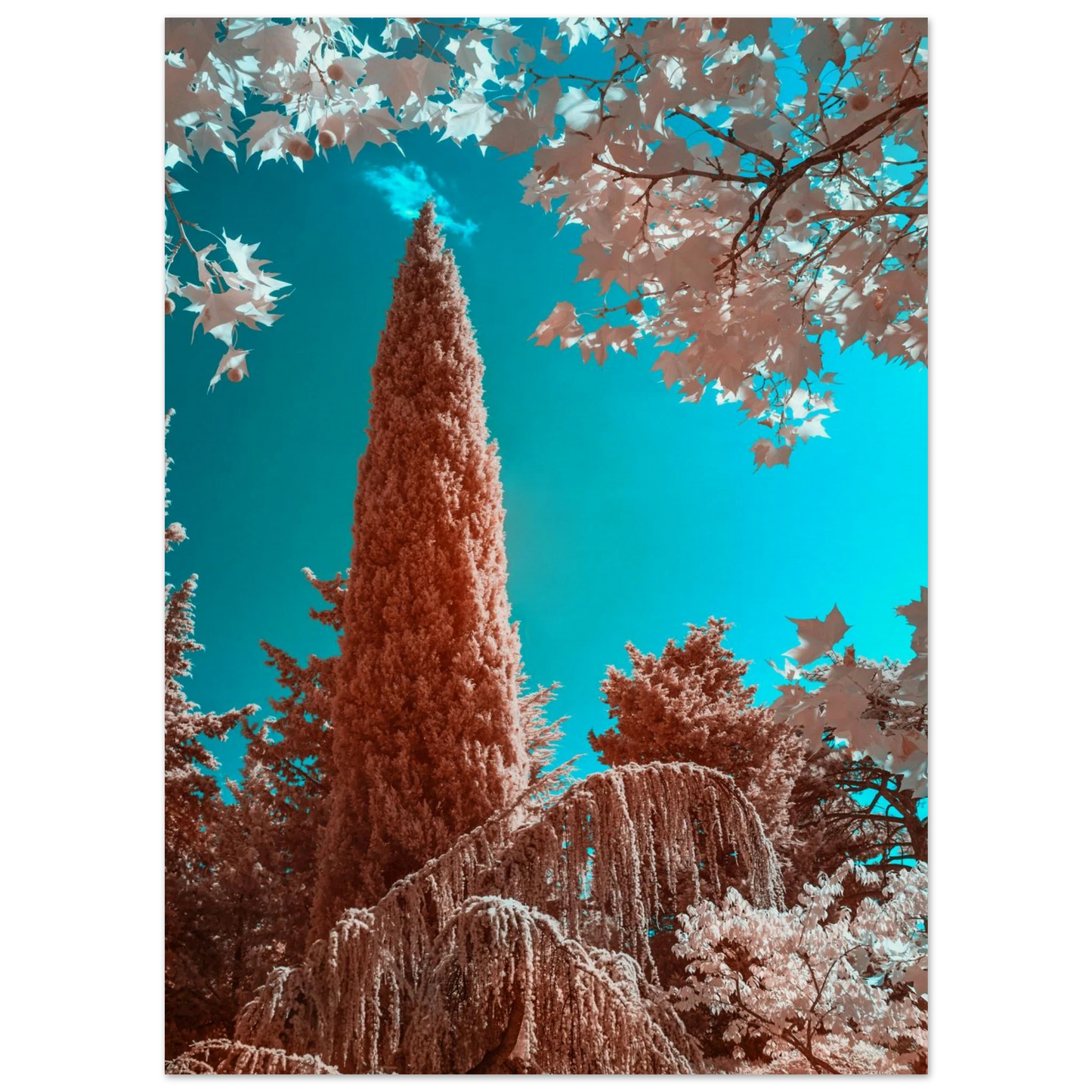 70700088-6b26-4ac5-9140-f935c37daf3d