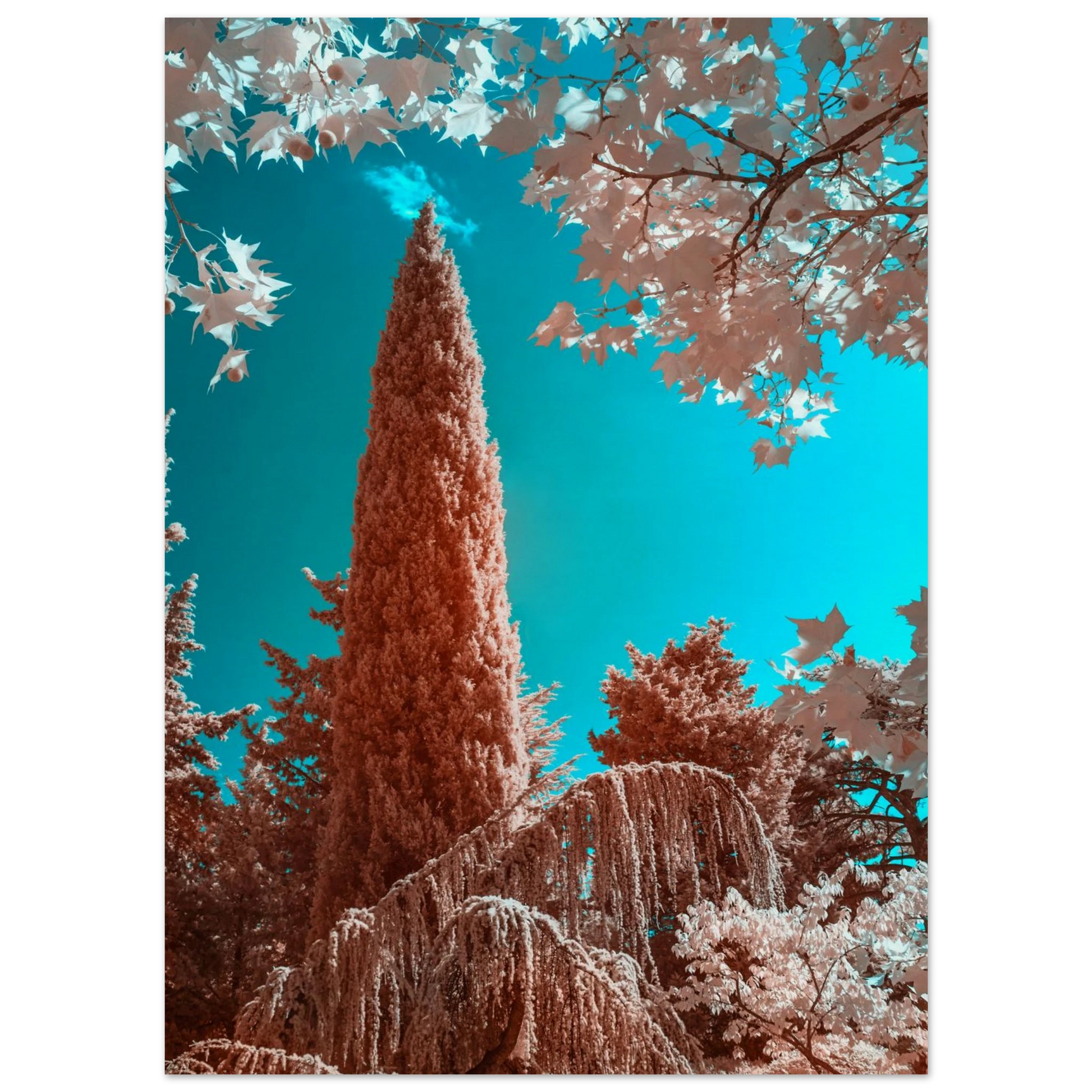 70700088-6b26-4ac5-9140-f935c37daf3d