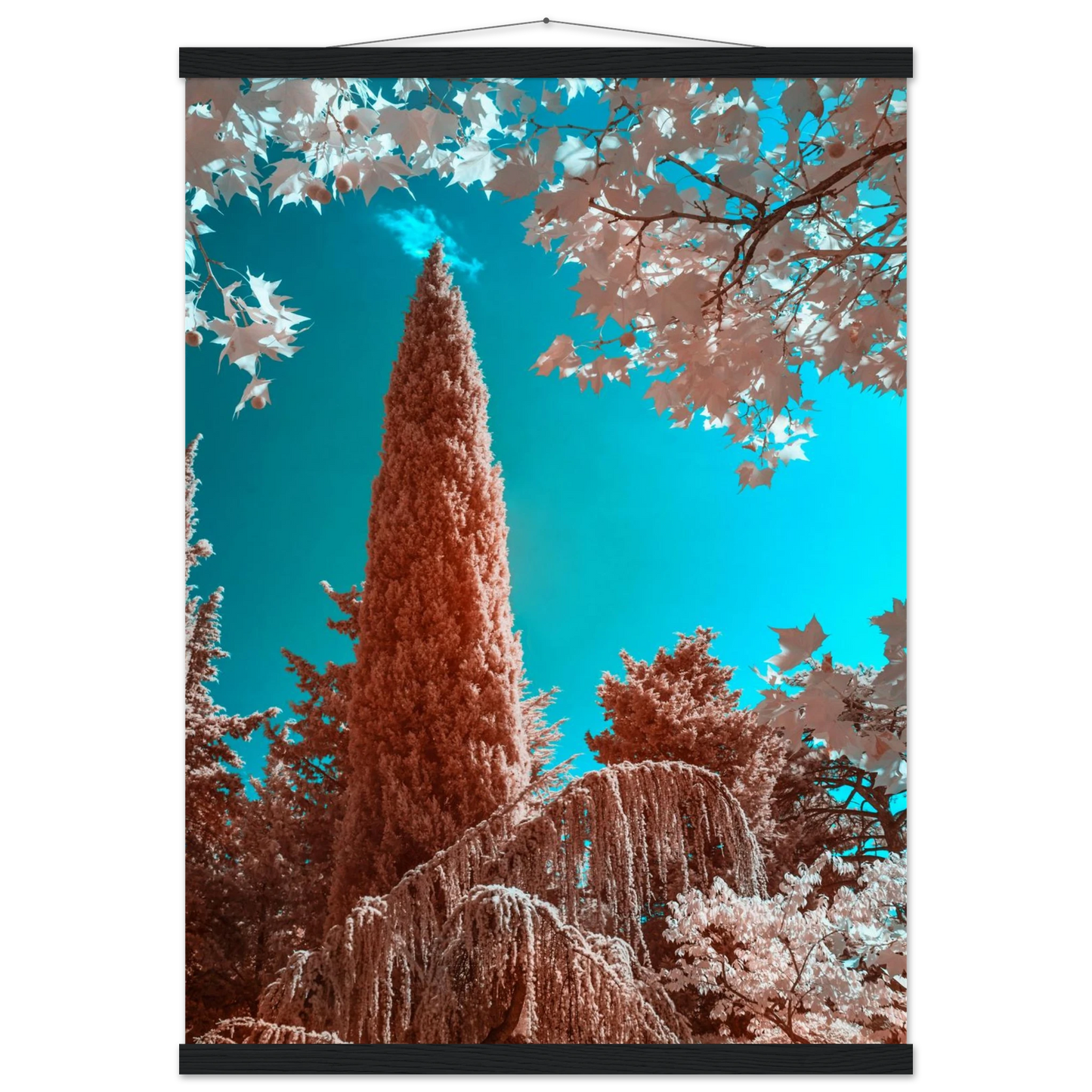 71e03631-2c59-4a0d-a730-392a8c1ae28e