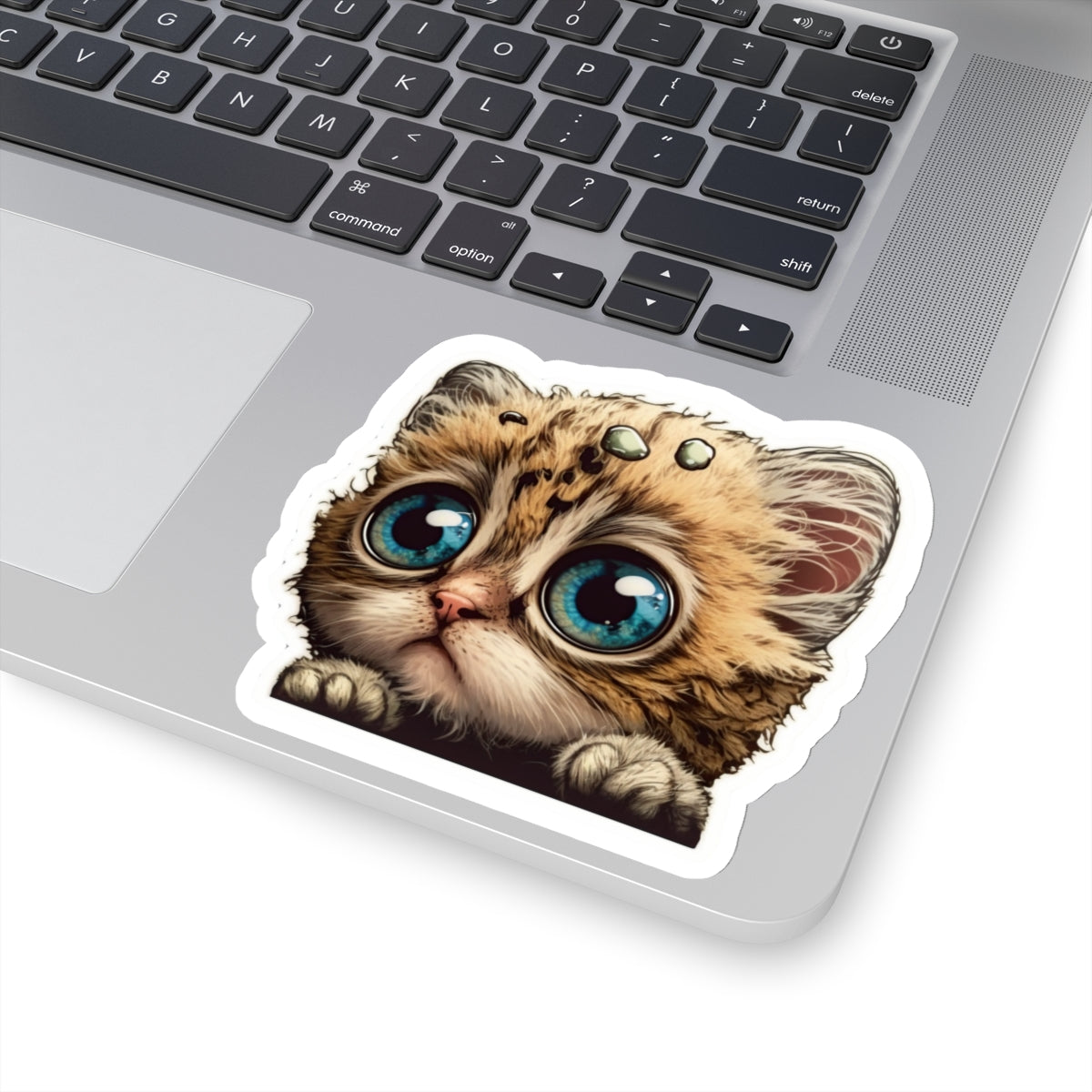 Kiss-Cut Sticker of cute funny cat kitten  for your collection