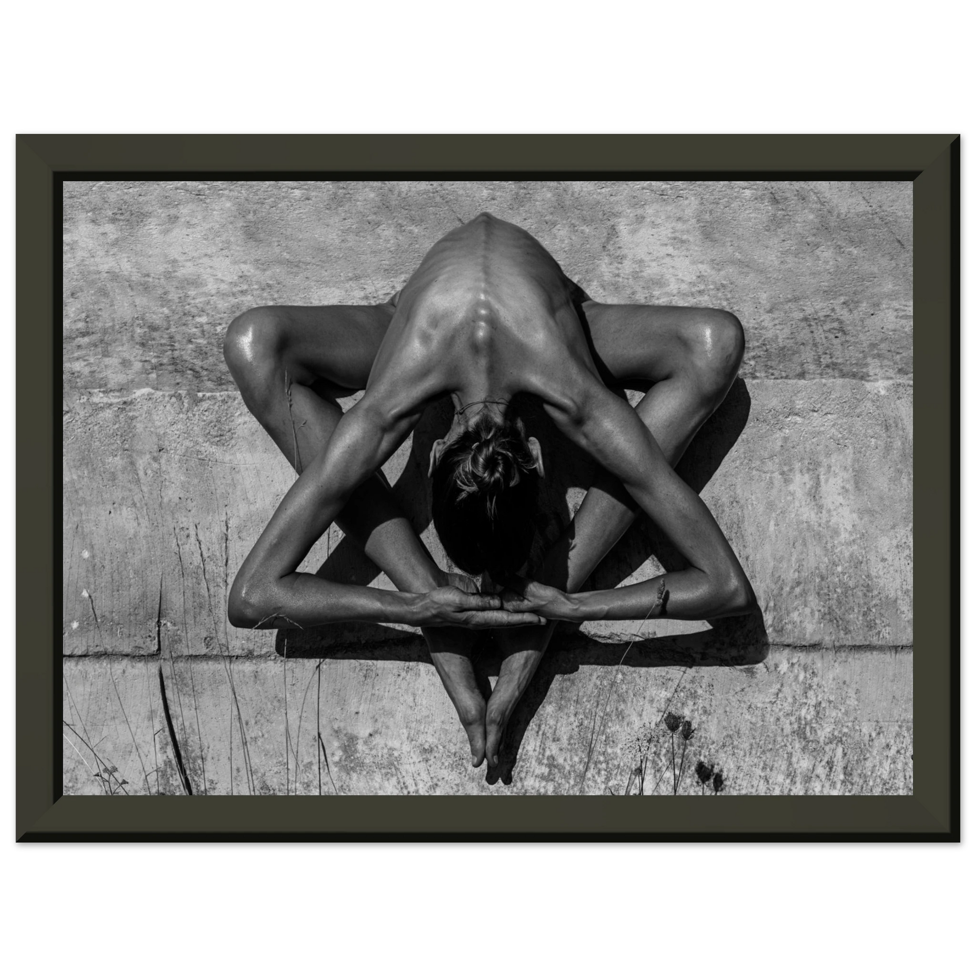 737d312b-438b-46c9-bc6e-b1d085d42c2d