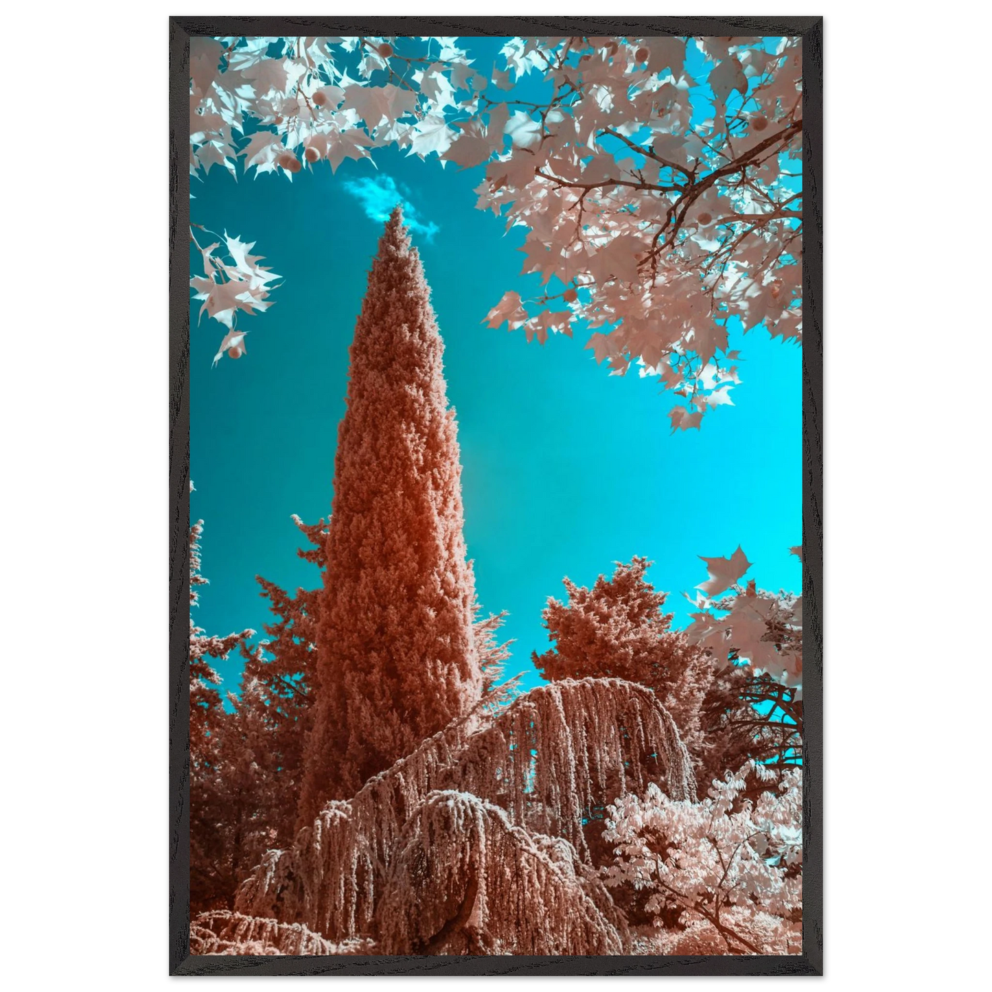 740e2f8d-1a5e-4d46-8c5a-d6f4ecd1b174